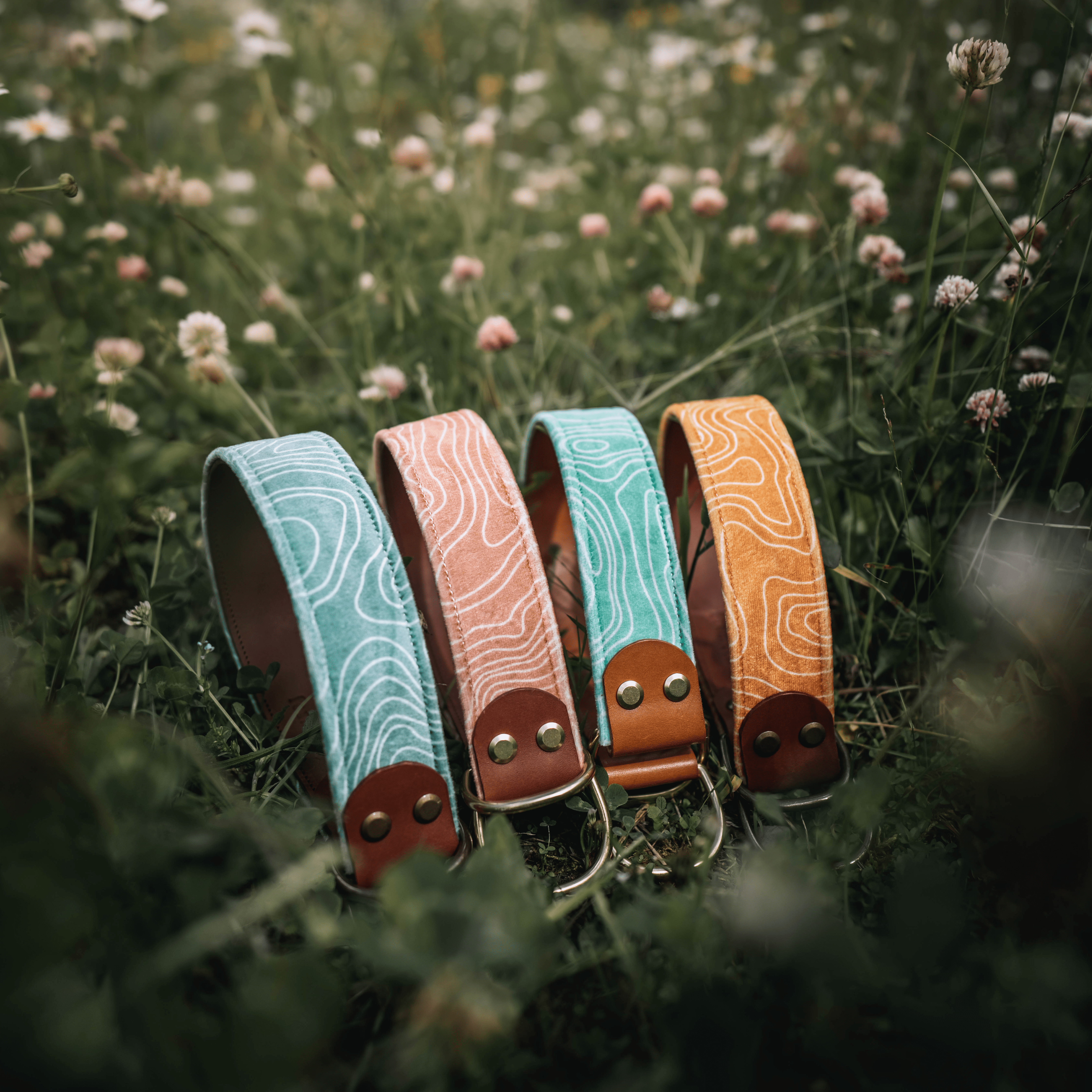 Compass Collar - FoxMoth - Leather Dog Collar