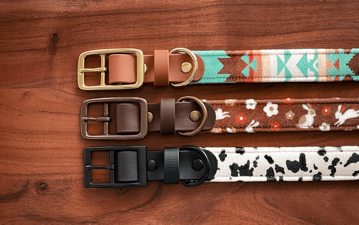 Leather Buckle Collar Customizations - FoxMoth