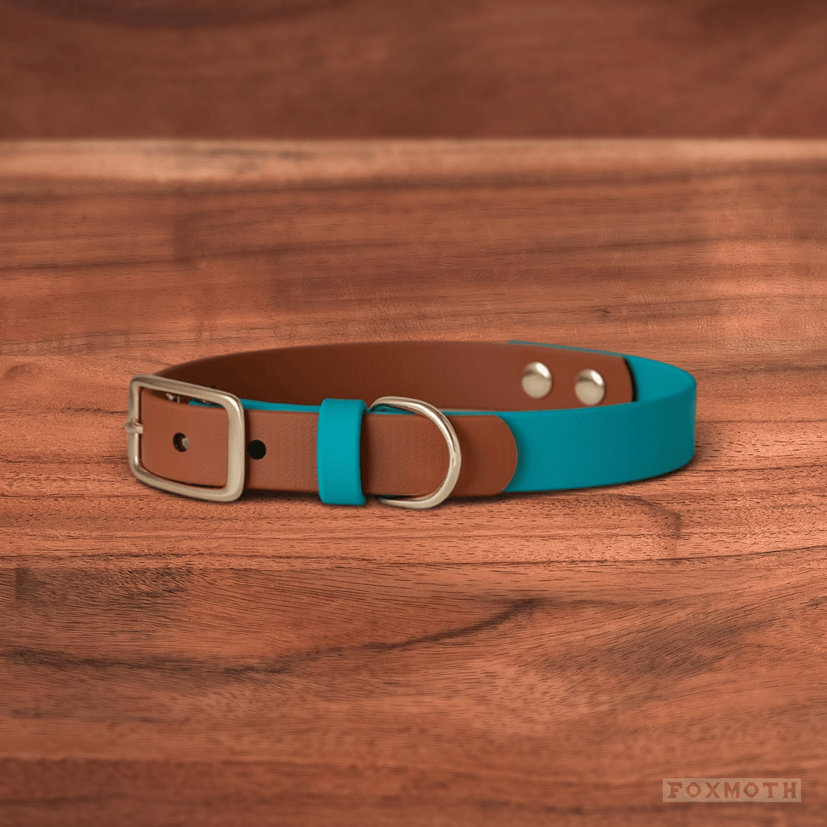 Sienna Buckle Collar - FoxMoth - Pet Collars & Harnesses