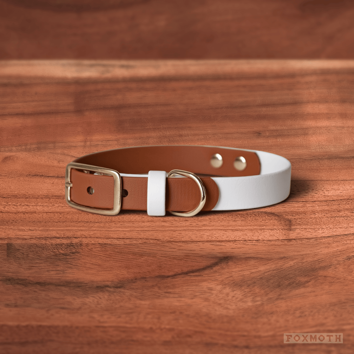 Sienna Buckle Collar - FoxMoth - Pet Collars & Harnesses