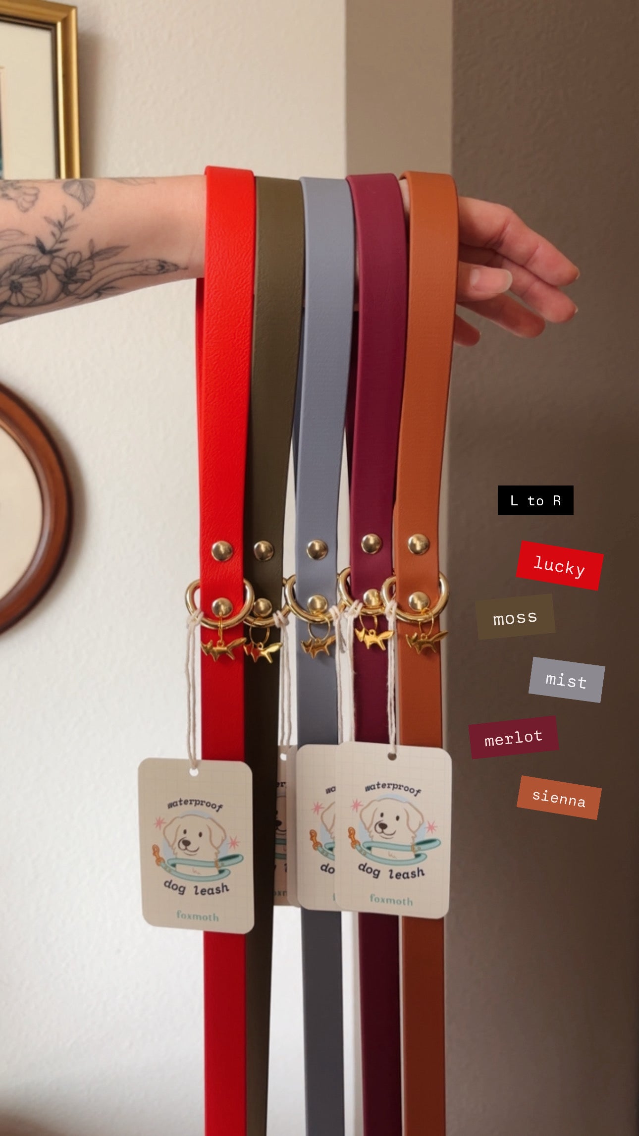 custom waterproof leash