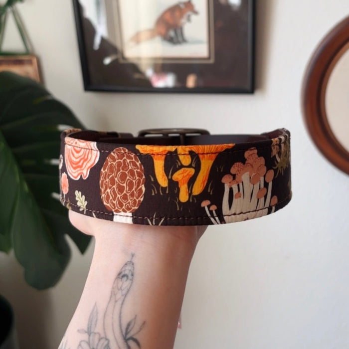 forager collar - FoxMoth - Leather Dog Collar