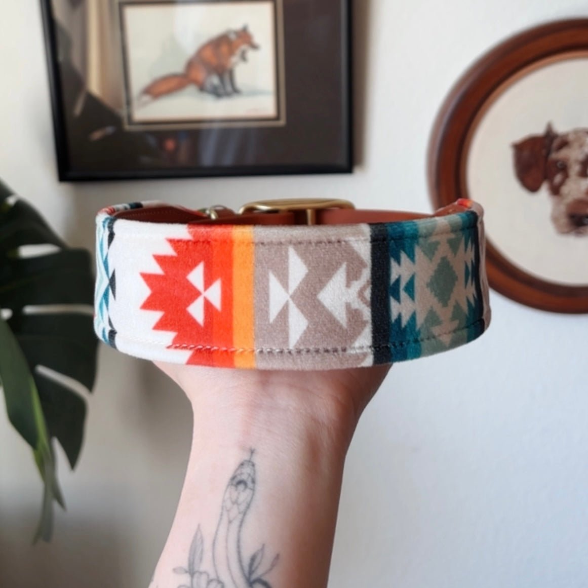 rainier collar - FoxMoth - Leather Dog Collar