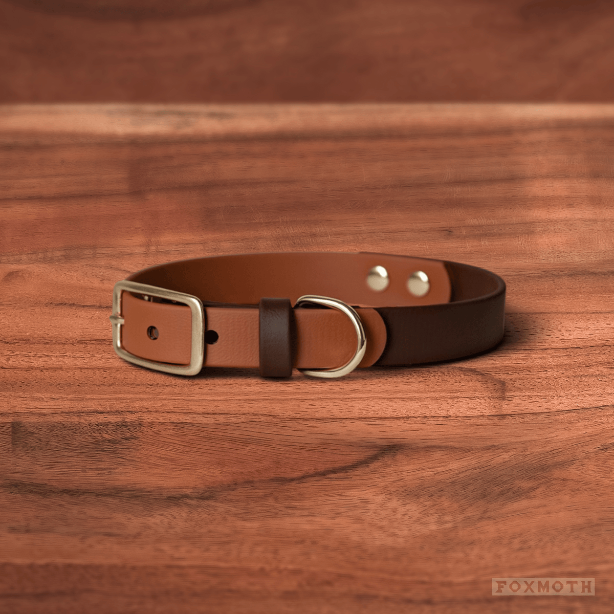 Sienna Buckle Collar - FoxMoth - Pet Collars & Harnesses