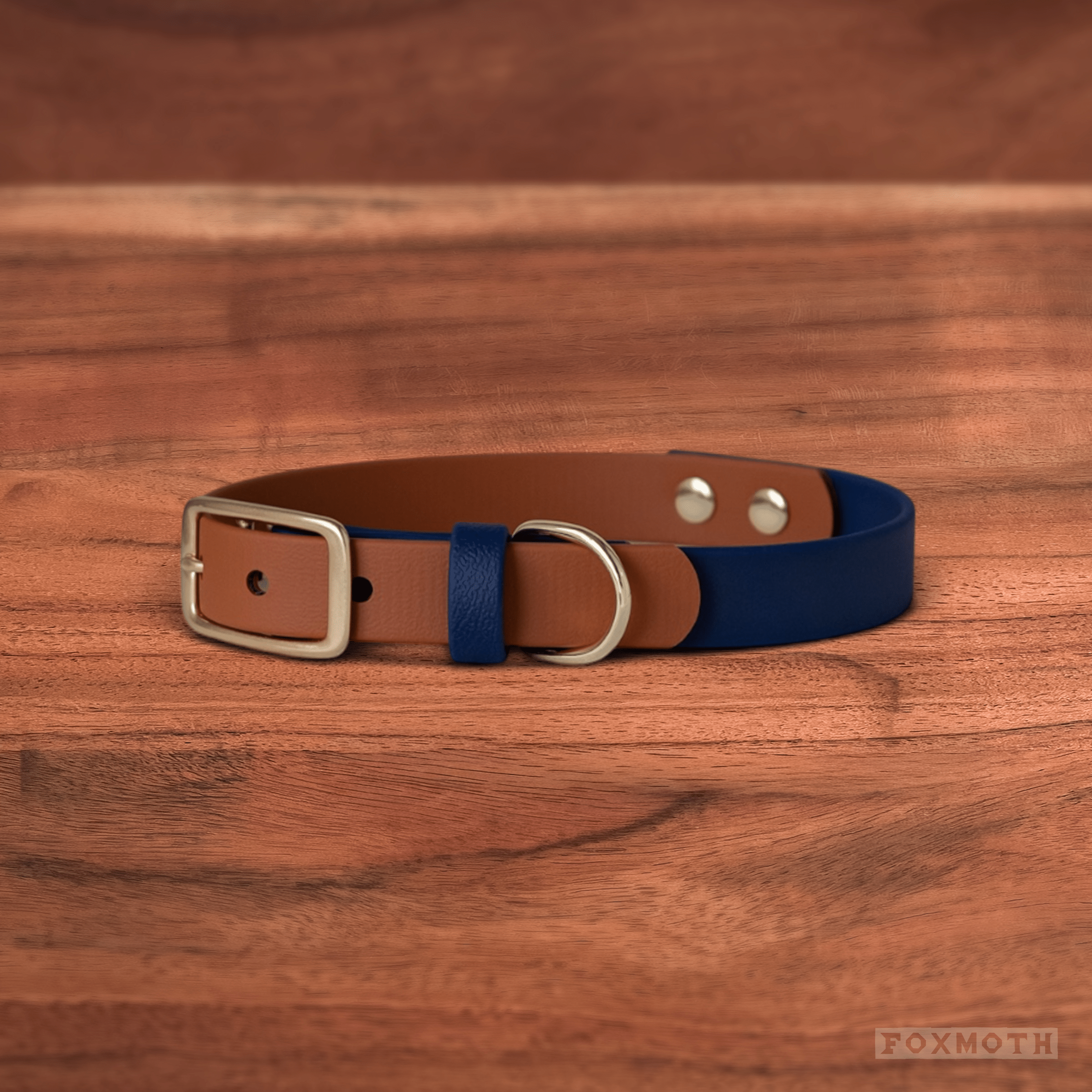 Sienna Buckle Collar - FoxMoth - Pet Collars & Harnesses