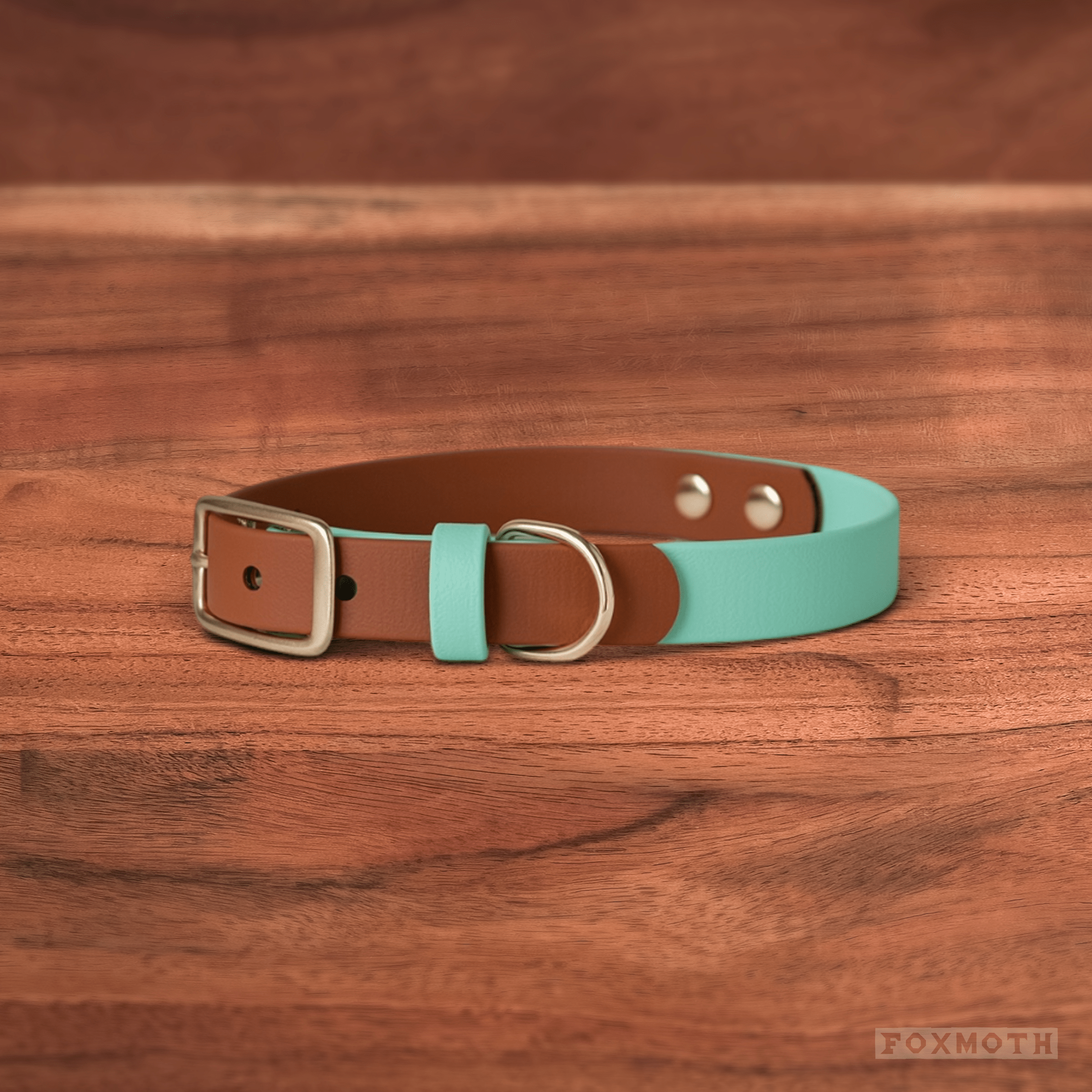 Sienna Buckle Collar - FoxMoth - Pet Collars & Harnesses
