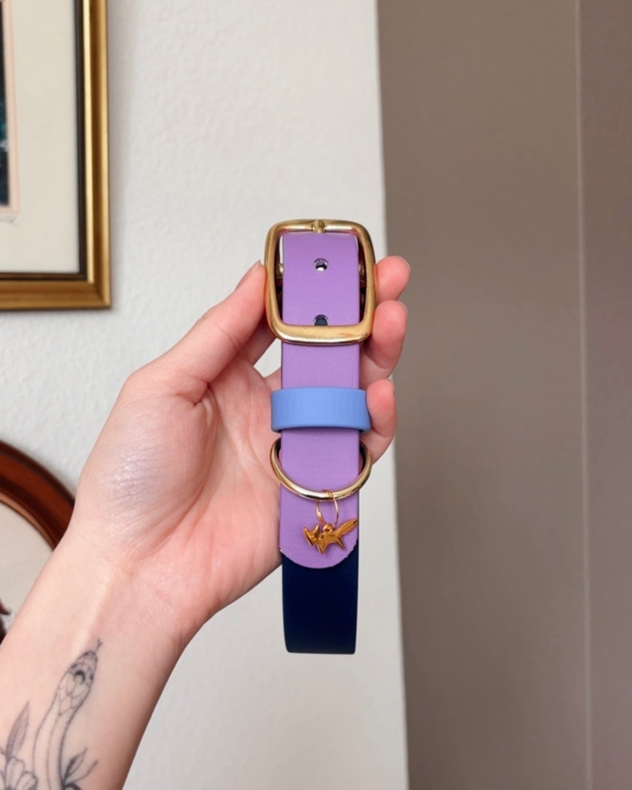 Cosmic Berry Buckle Collar