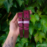 Lavender Buckle Collar - FoxMoth - Pet Collars & Harnesses