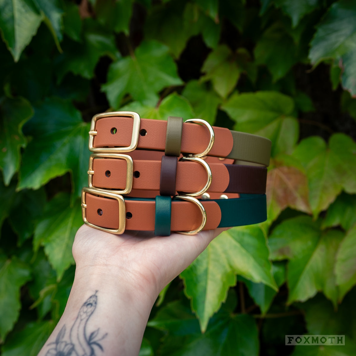 Evergreen Buckle Collar - FoxMoth - Pet Collars & Harnesses