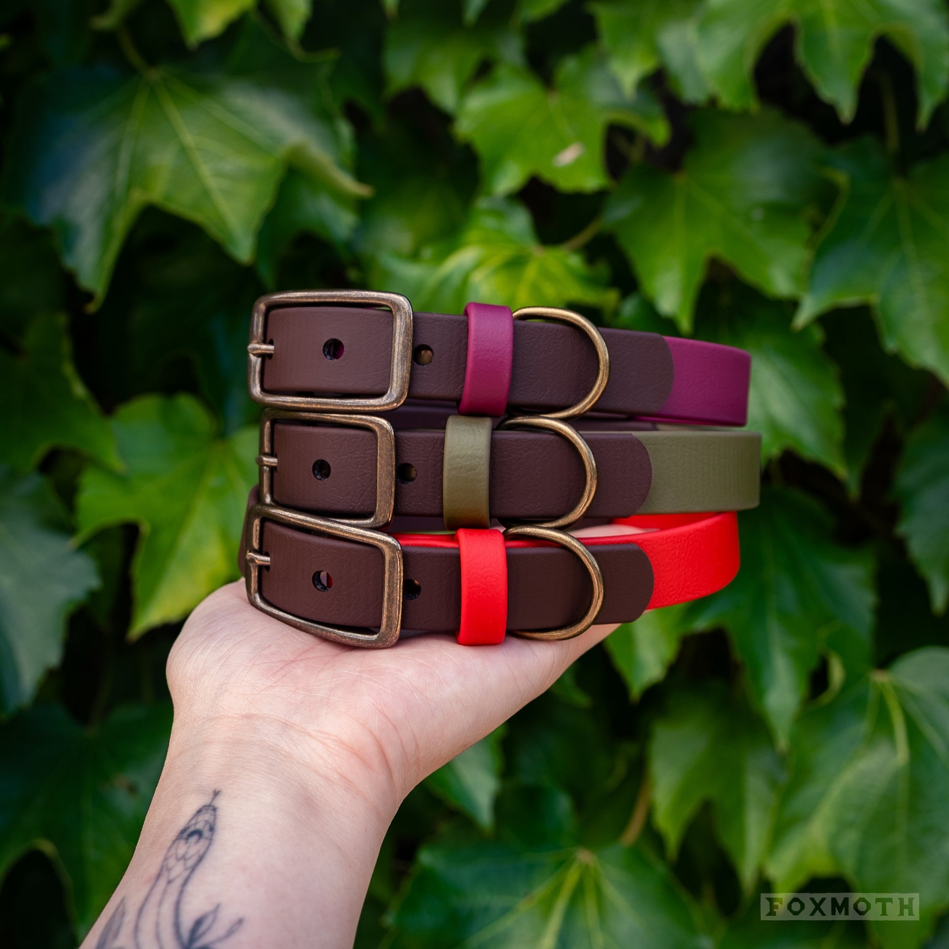 Moss Buckle Collar - FoxMoth - Pet Collars & Harnesses