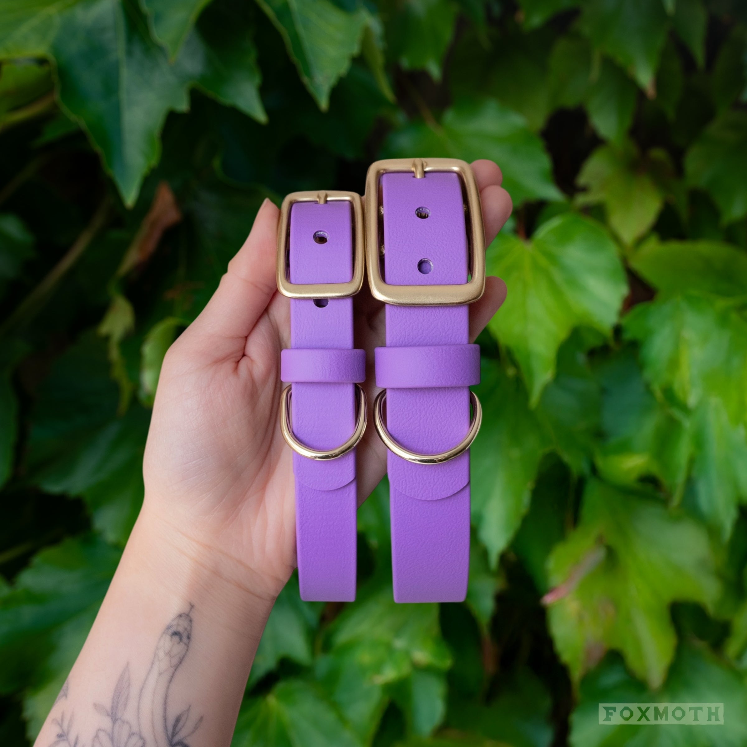 Berry Buckle Collar - FoxMoth - Pet Collars & Harnesses