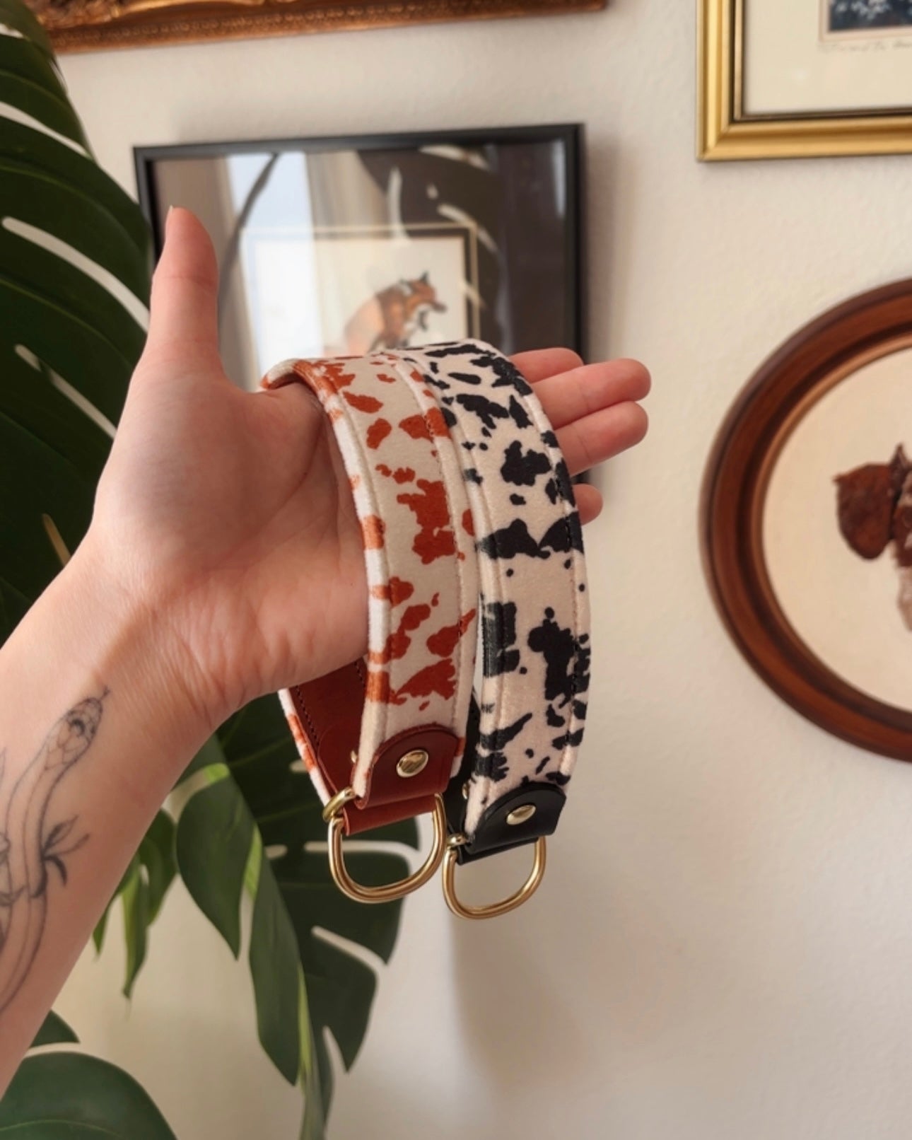 Moo Collar - FoxMoth - Leather Dog Collar