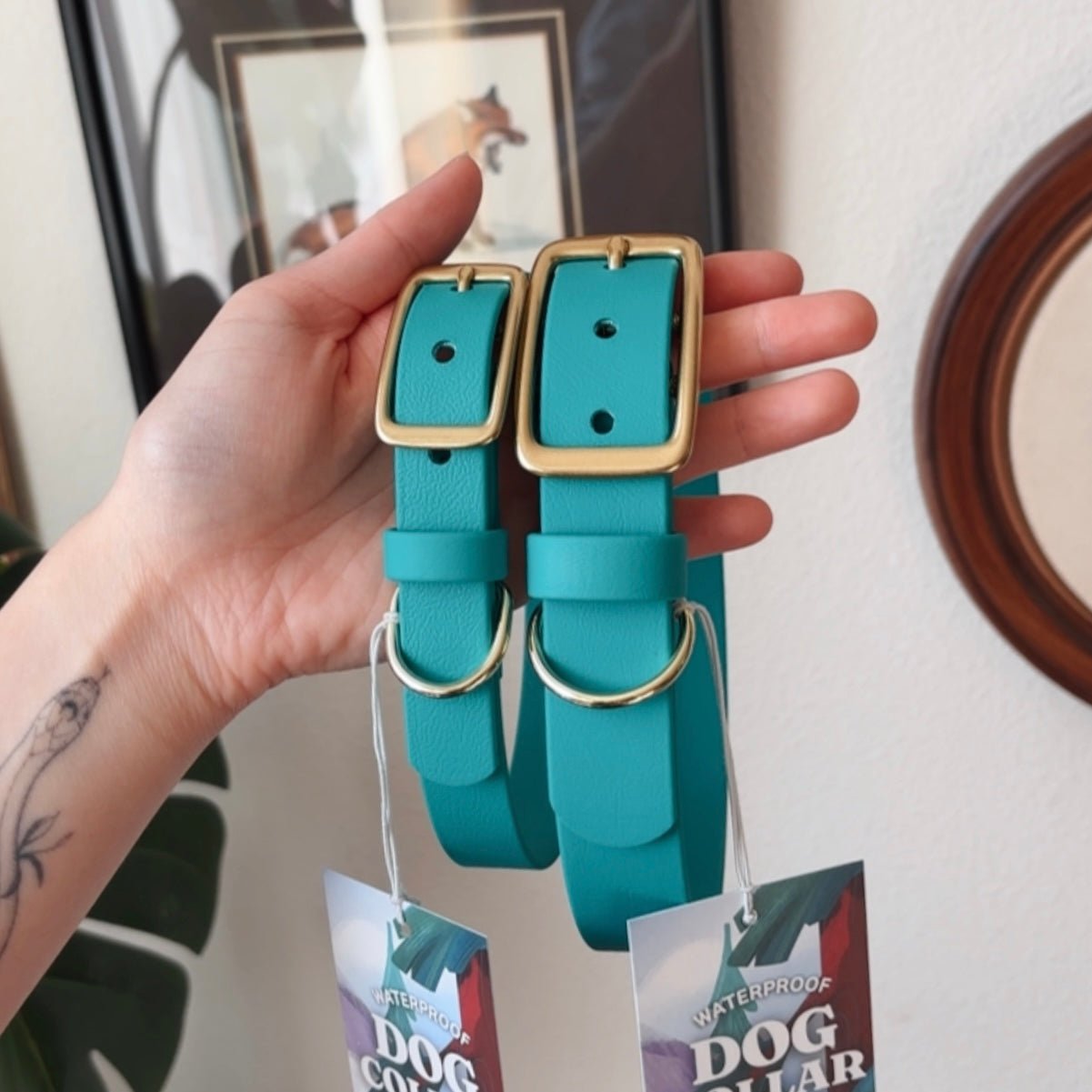 alpine buckle collar - FoxMoth - Pet Collars & Harnesses