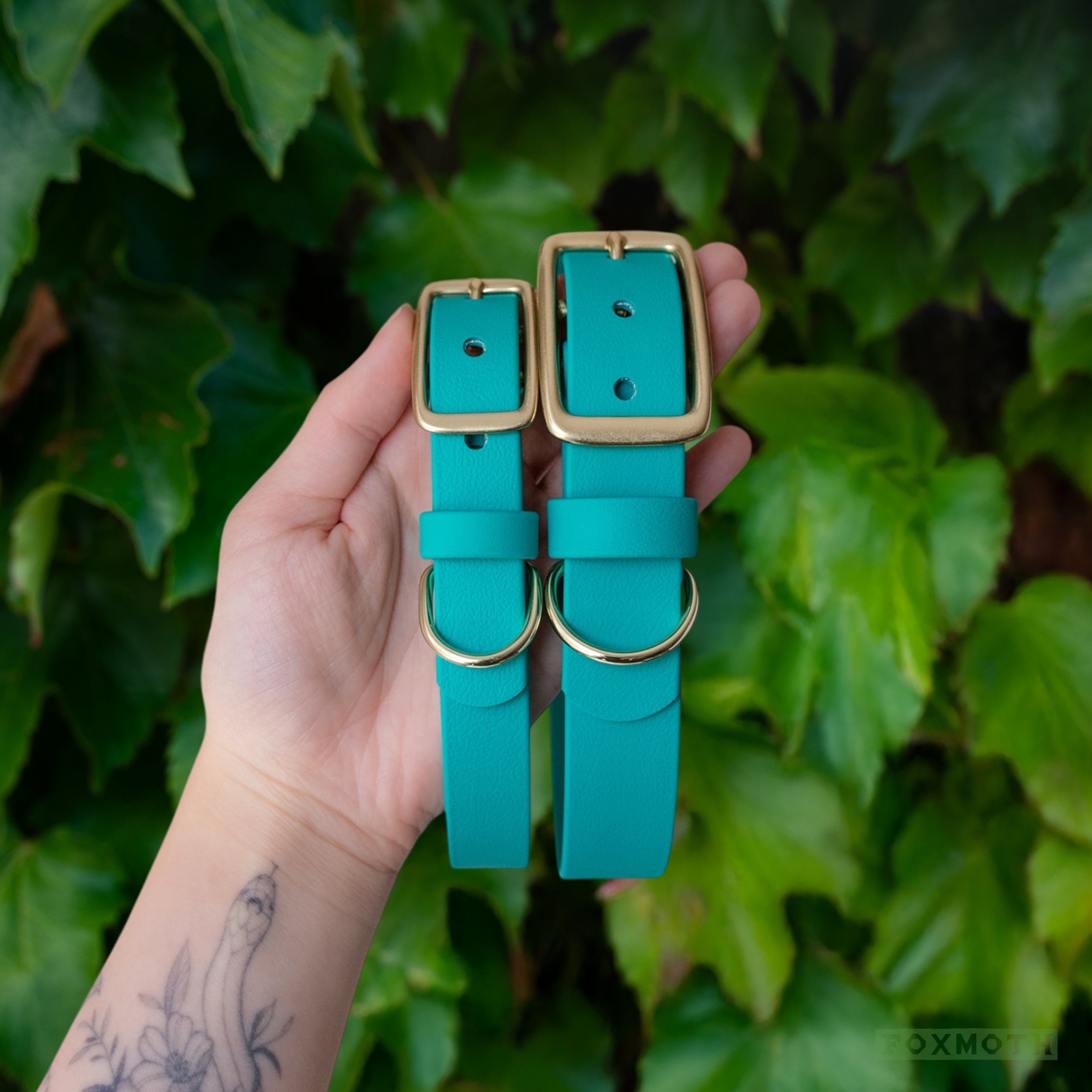 Alpine Buckle Collar - FoxMoth - Pet Collars & Harnesses
