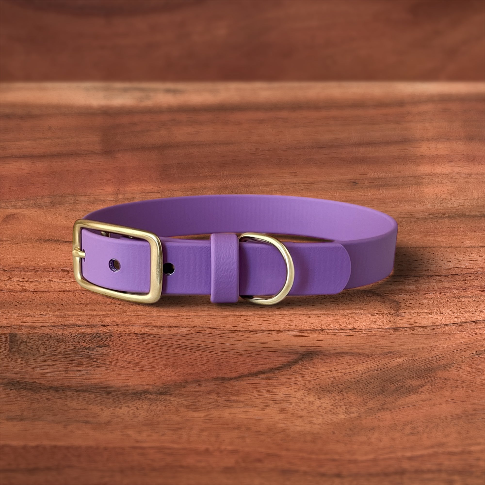 Berry Buckle Collar - FoxMoth - Pet Collars & Harnesses