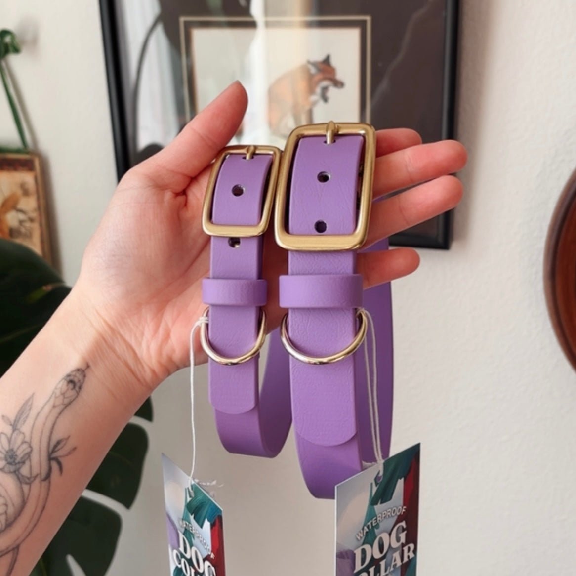 berry buckle collar - FoxMoth - Pet Collars & Harnesses