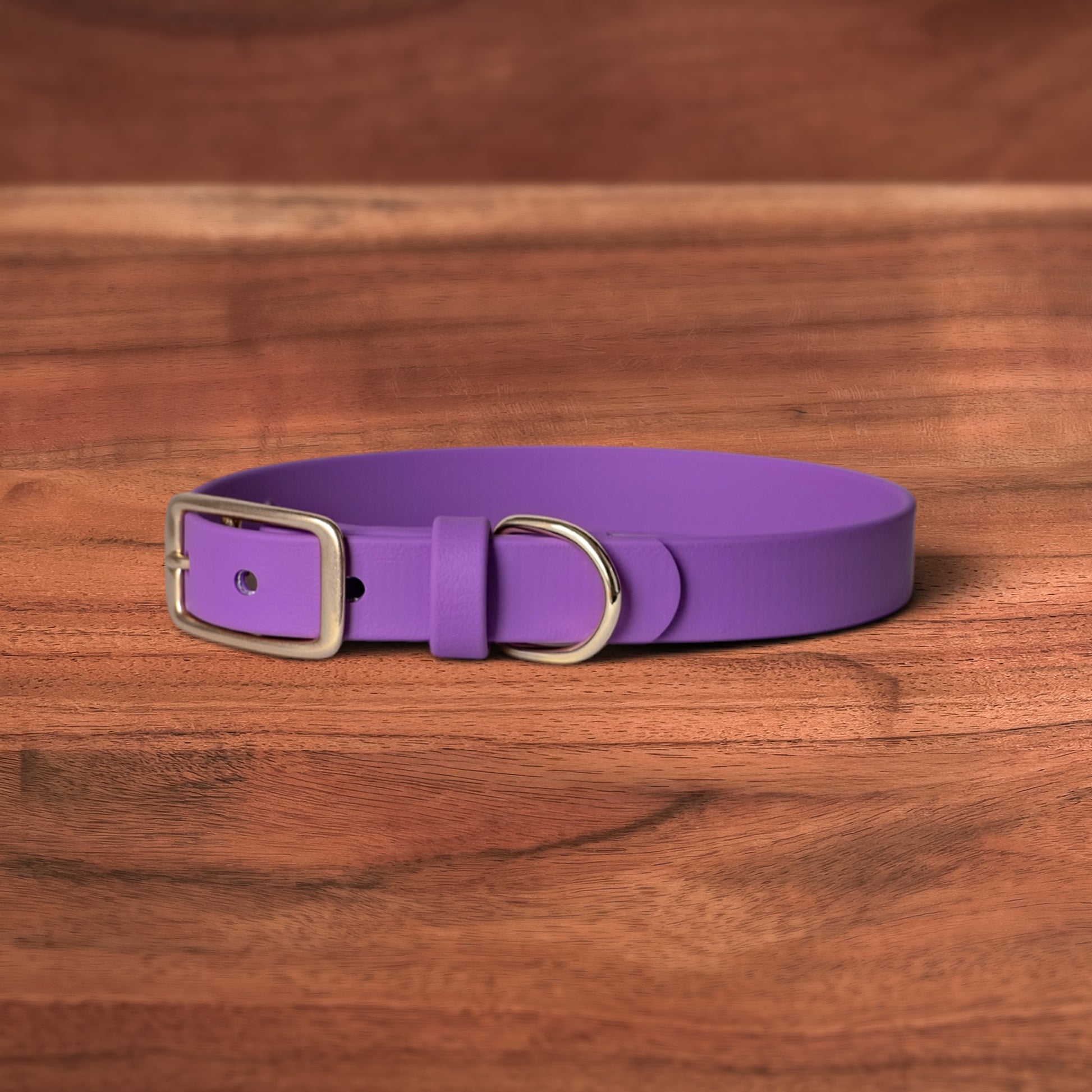 Berry Buckle Collar - FoxMoth - Pet Collars & Harnesses