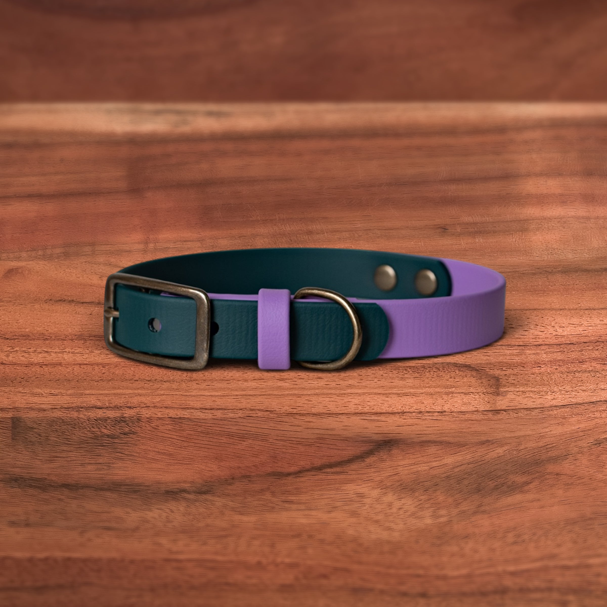 Berry x Evergreen Buckle Collar - FoxMoth - Pet Collars & Harnesses
