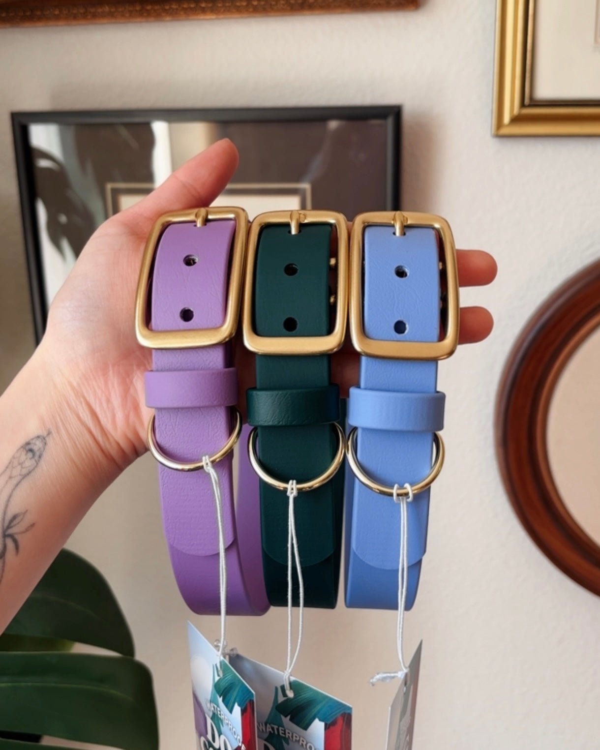 iris buckle collar - FoxMoth - Pet Collars & Harnesses