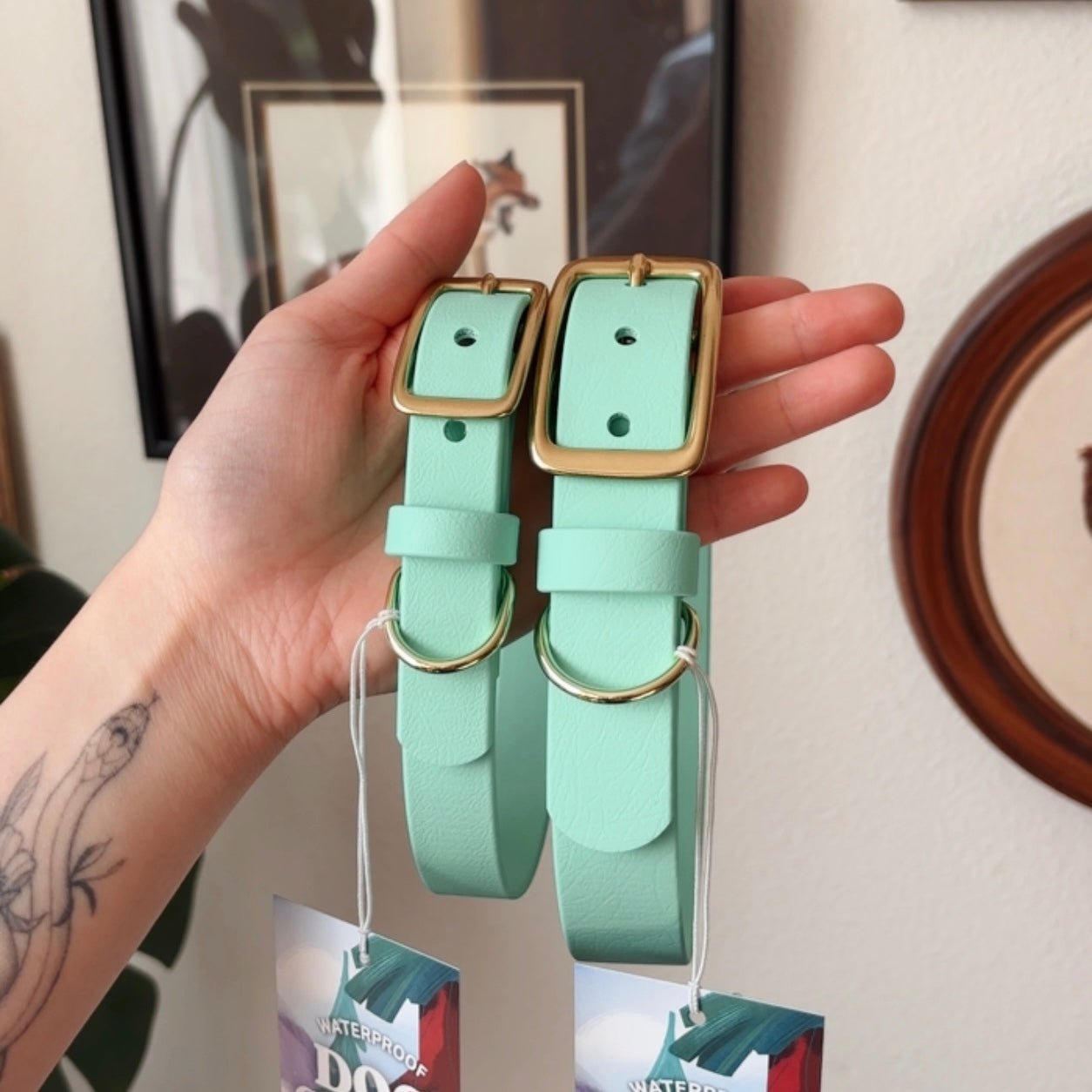 breeze buckle collar - FoxMoth - Pet Collars & Harnesses