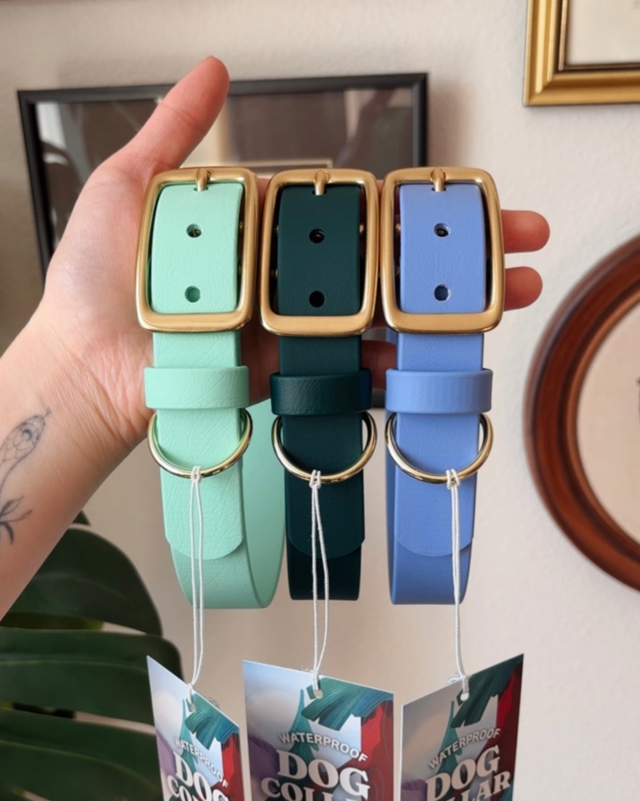 evergreen buckle collar - FoxMoth - Pet Collars & Harnesses