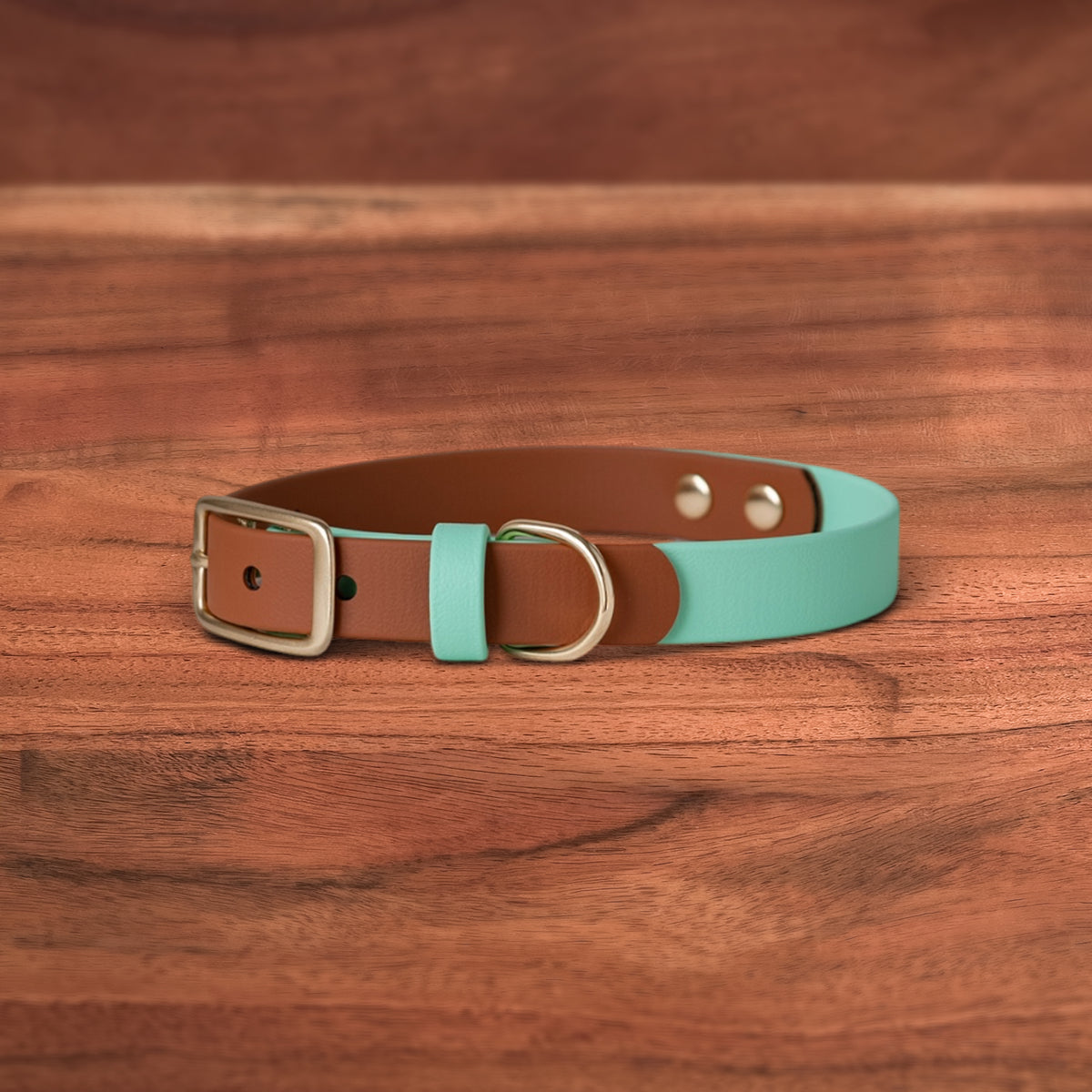 Sienna x Breeze Buckle Collar - FoxMoth - Pet Collars & Harnesses