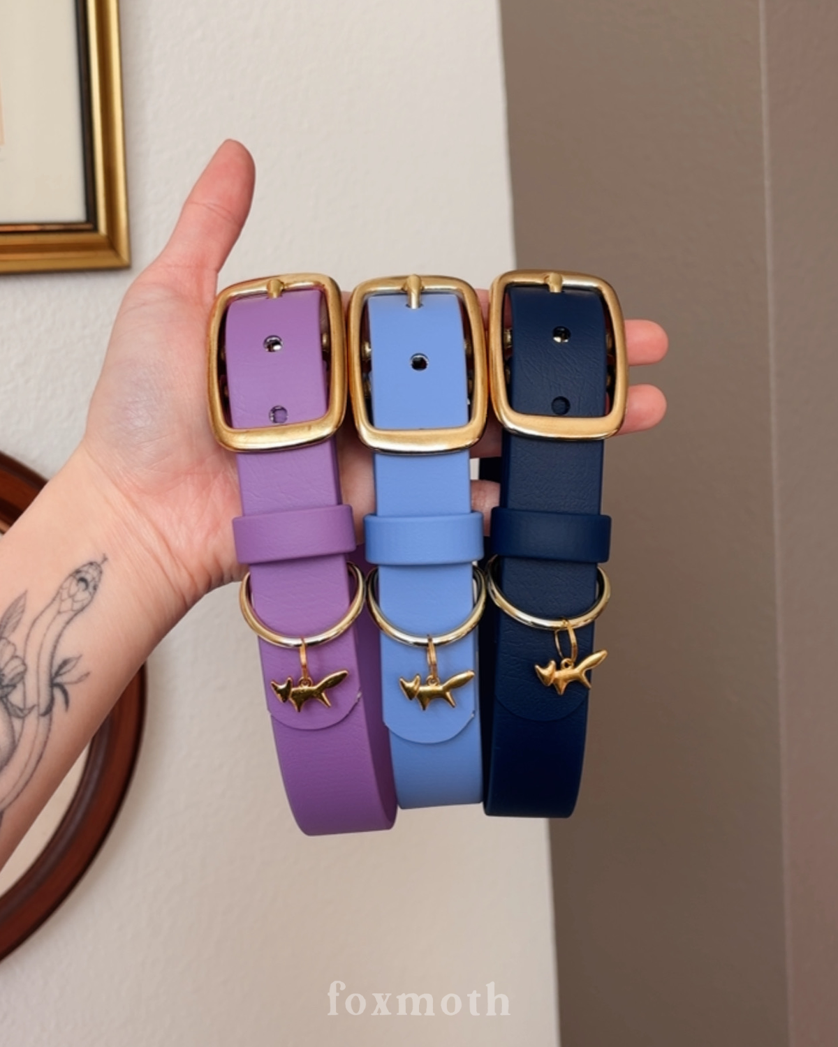 midnight buckle collar