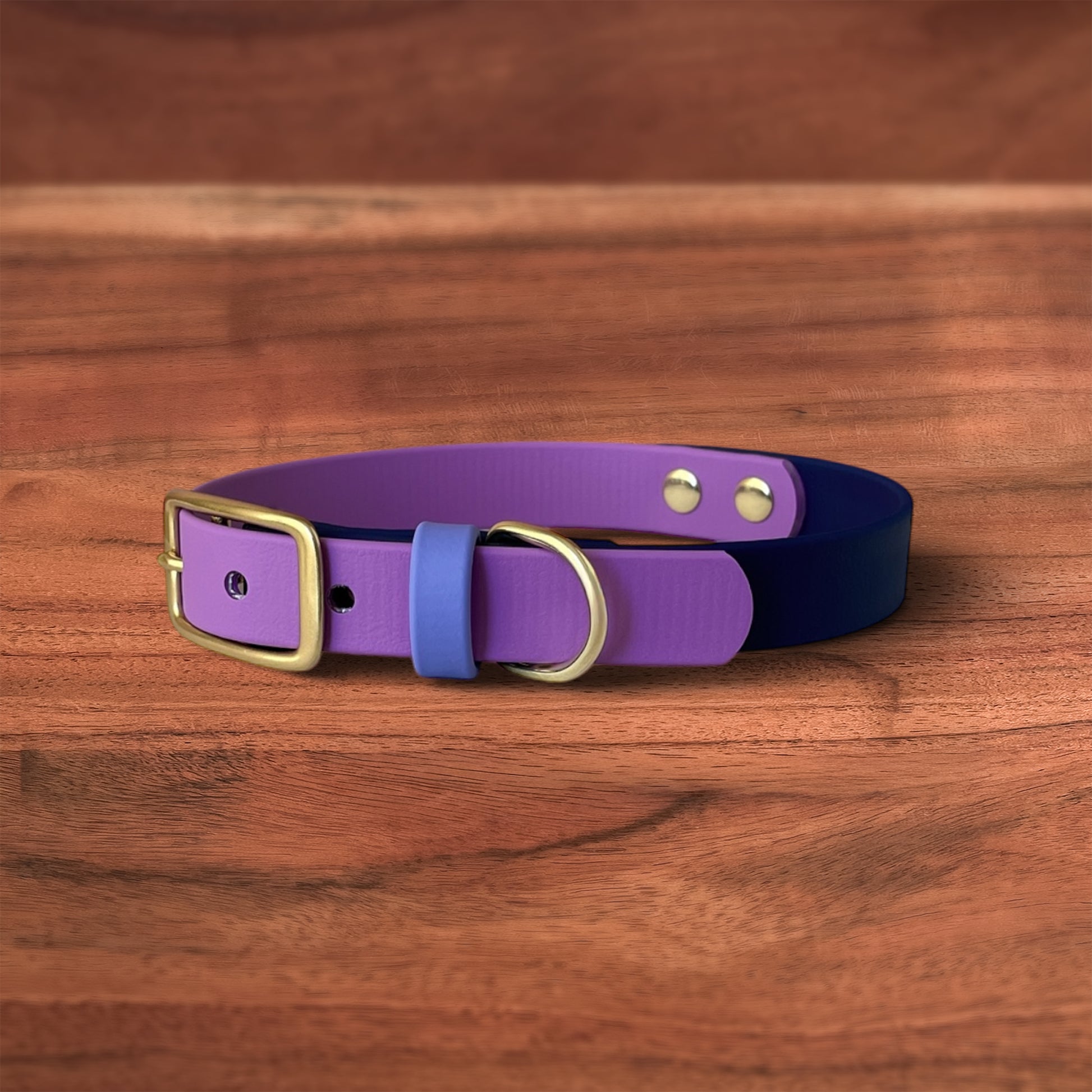Cosmic Berry Buckle Collar - FoxMoth - Pet Collars & Harnesses
