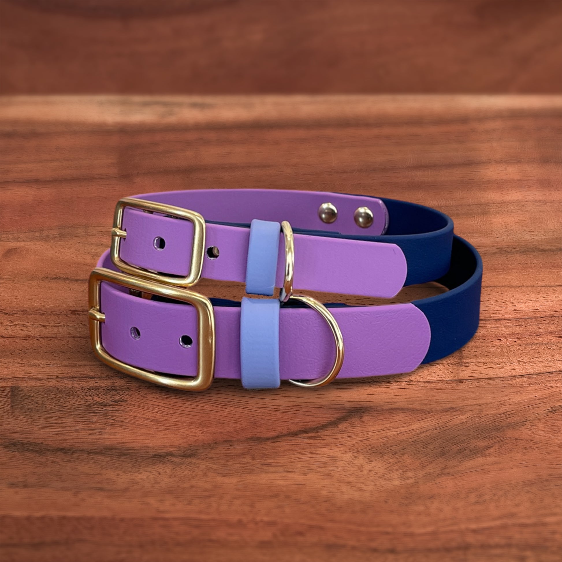 Cosmic Berry Buckle Collar - FoxMoth - Pet Collars & Harnesses