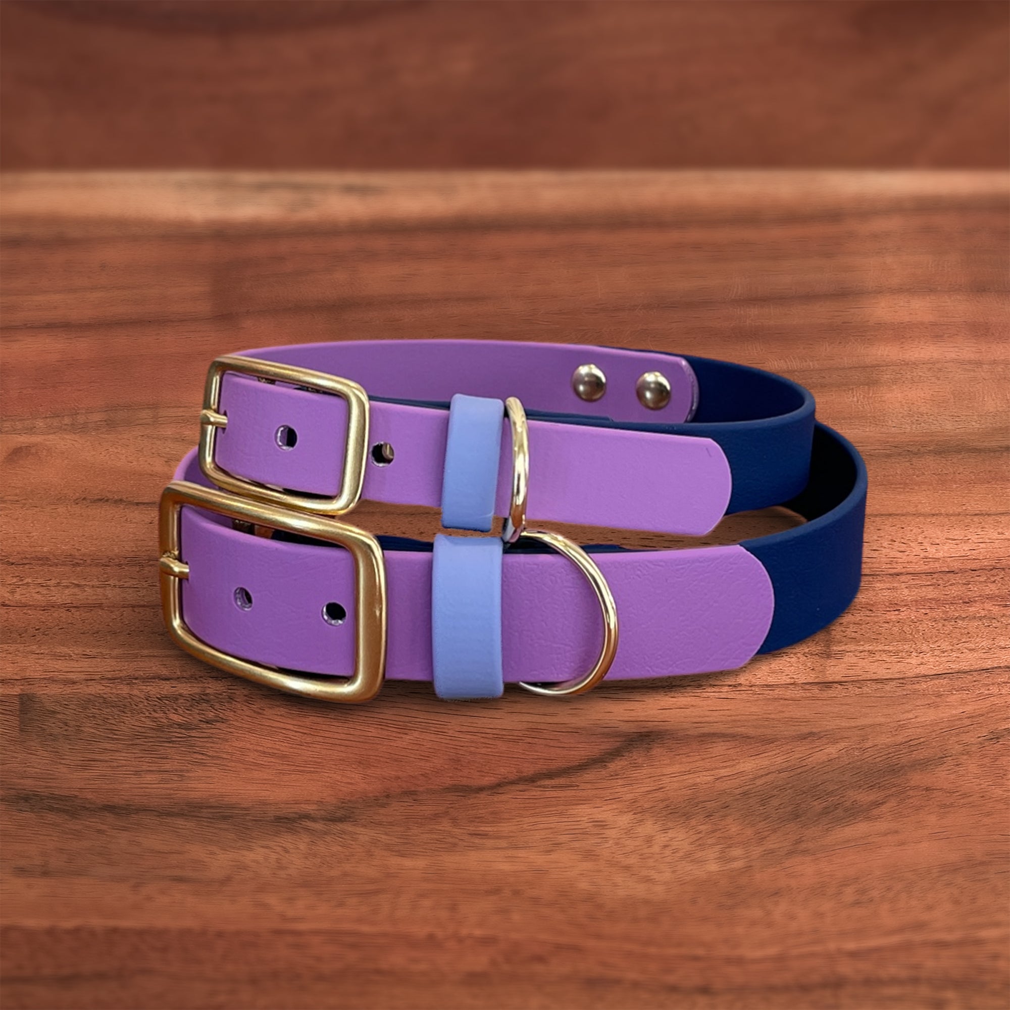 Cosmic Berry Buckle Collar - FoxMoth - Pet Collars & Harnesses