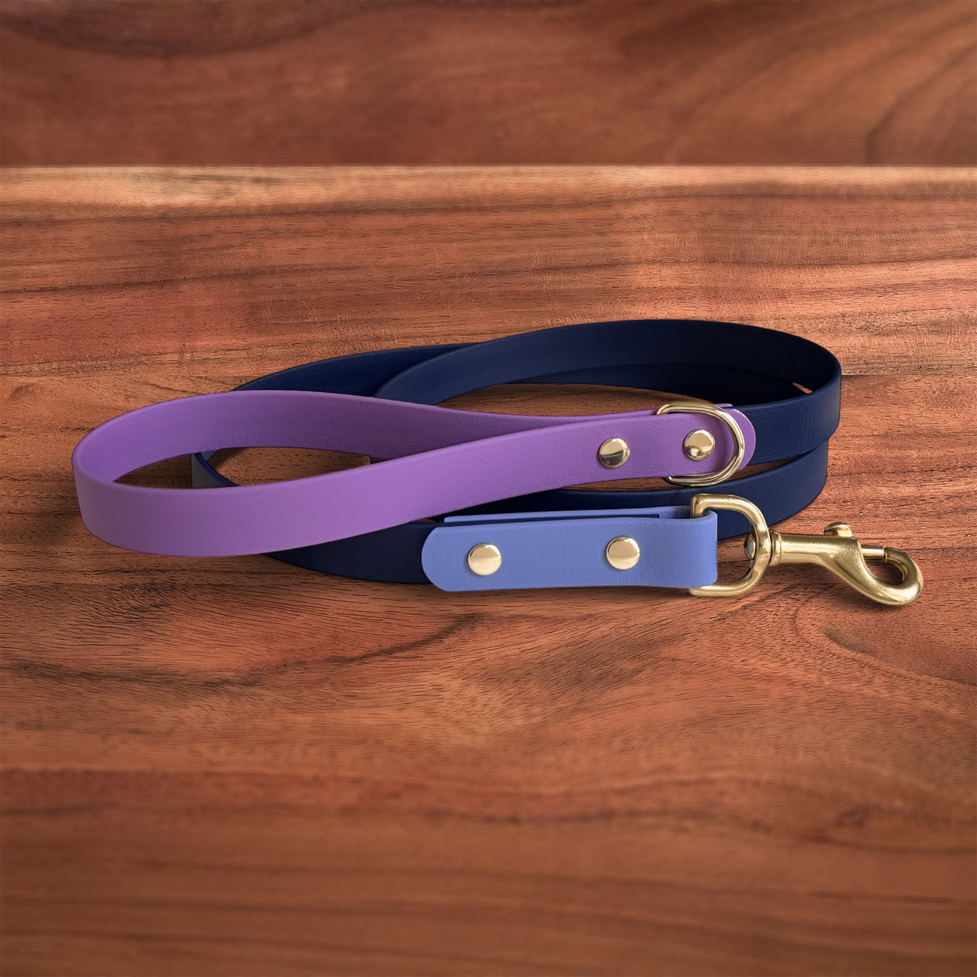 Cosmic Berry Leash - FoxMoth - Pet Collars & Harnesses
