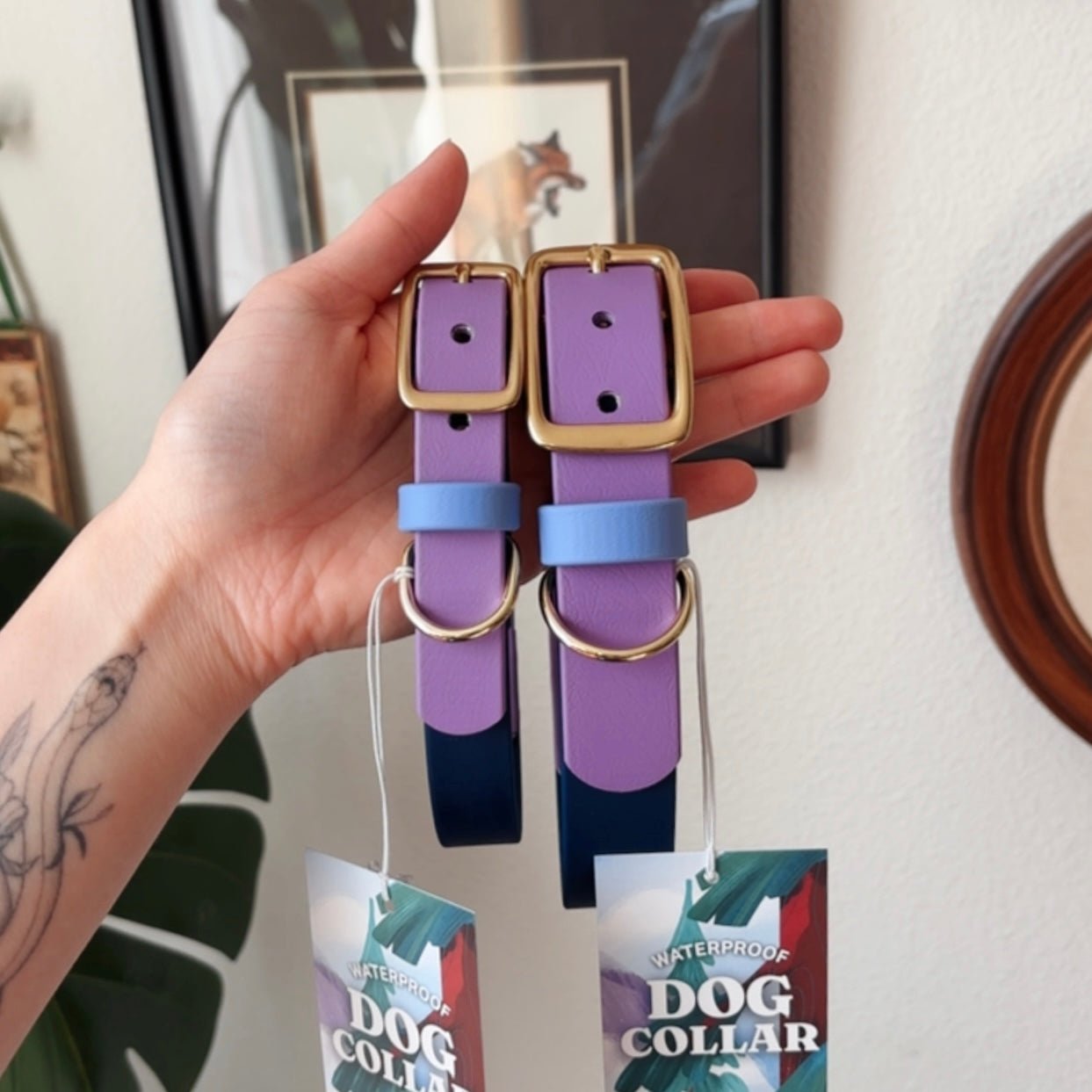 Cosmic Berry Buckle Collar - FoxMoth - Pet Collars & Harnesses