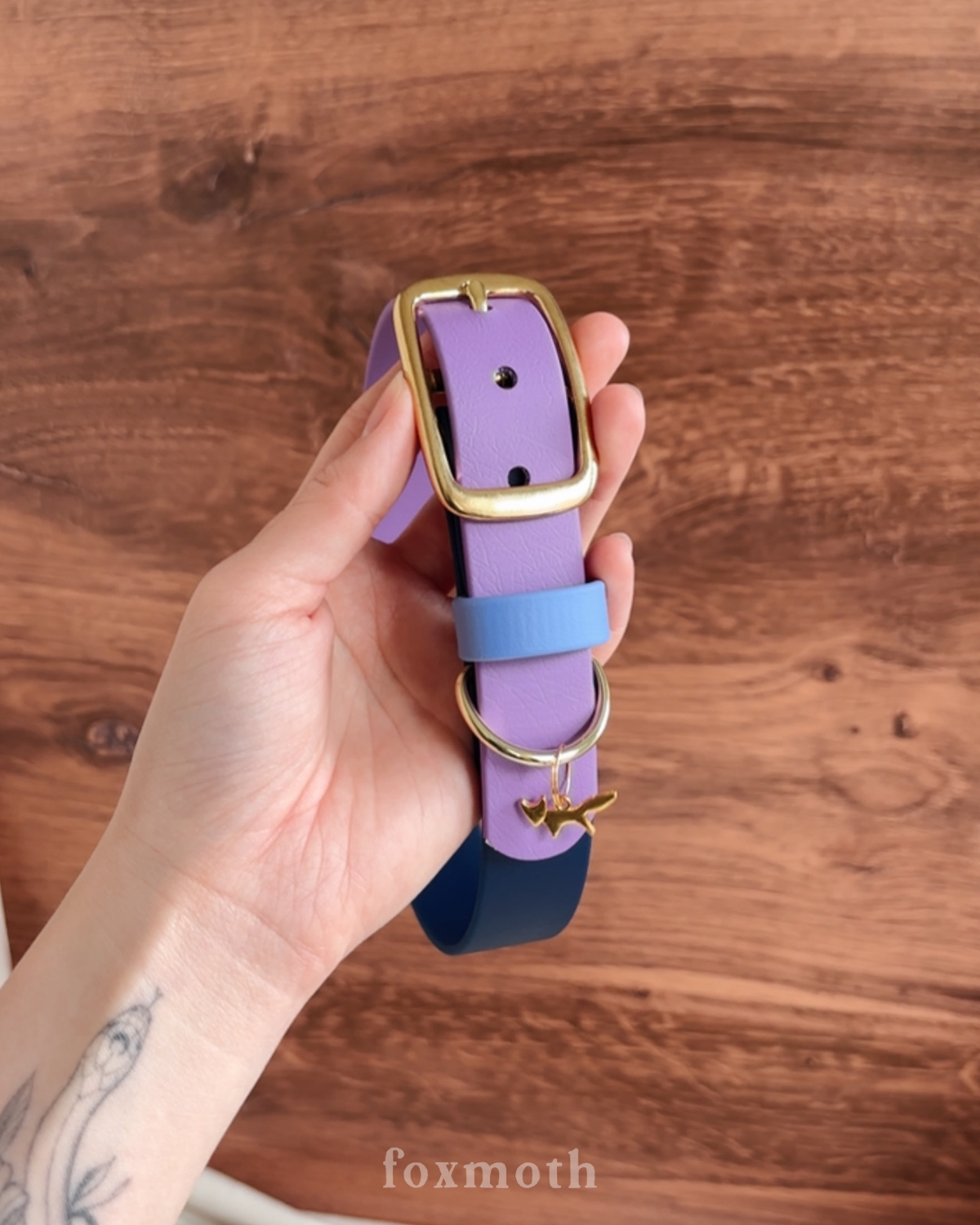 Cosmic Berry Buckle Collar