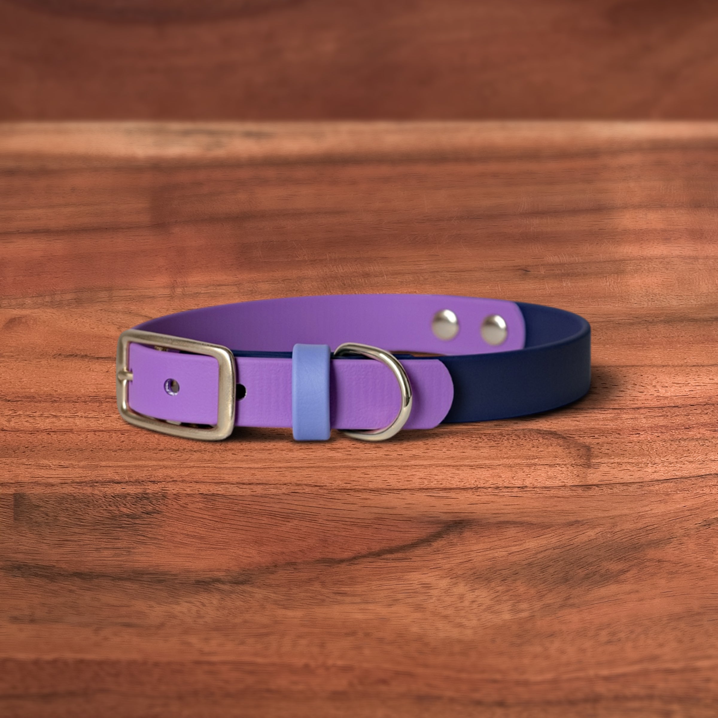 Cosmic Berry Buckle Collar - FoxMoth - Pet Collars & Harnesses