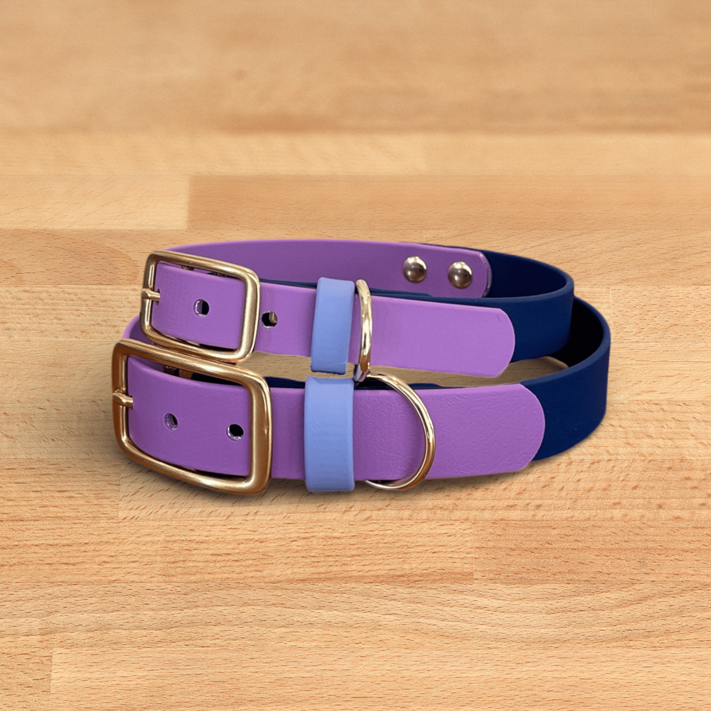 Cosmic Berry Buckle Collar - FoxMoth - Pet Collars & Harnesses