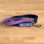 Cosmic Berry Leash - FoxMoth - Pet Collars & Harnesses