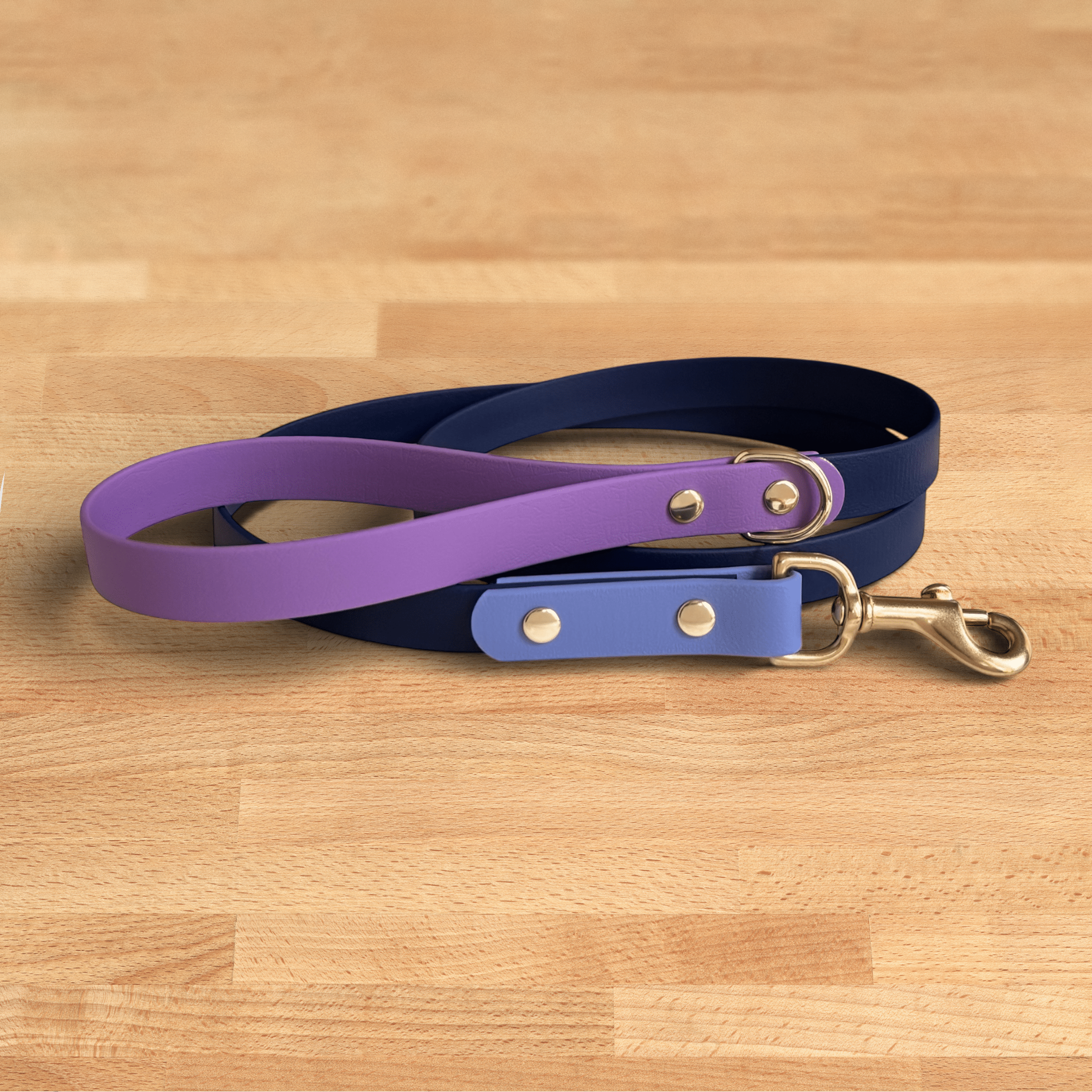 Cosmic Berry Leash - FoxMoth - Pet Collars & Harnesses