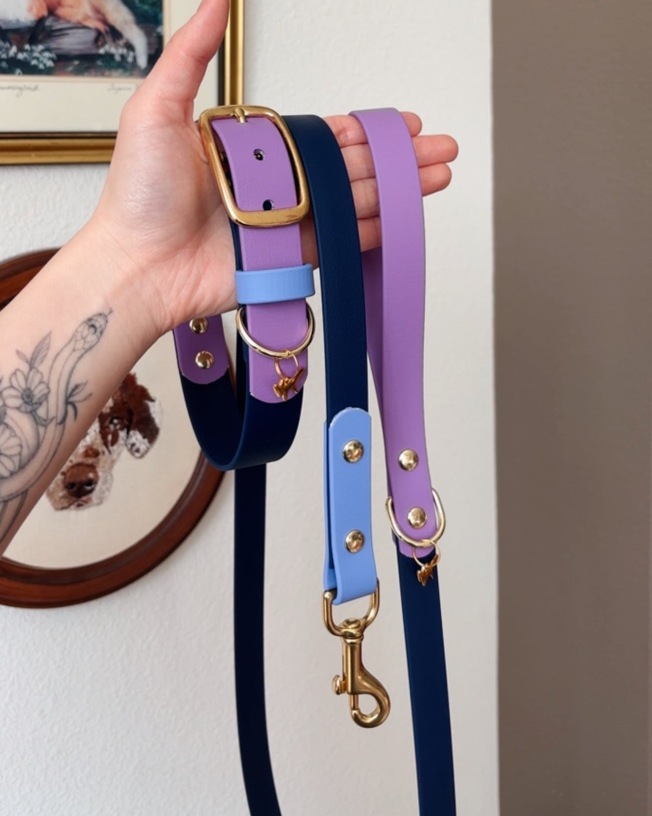 Cosmic Berry Buckle Collar