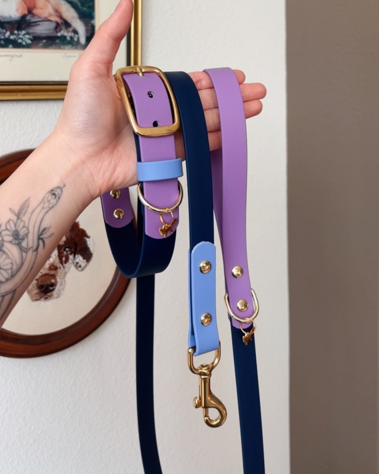 Cosmic Berry Leash