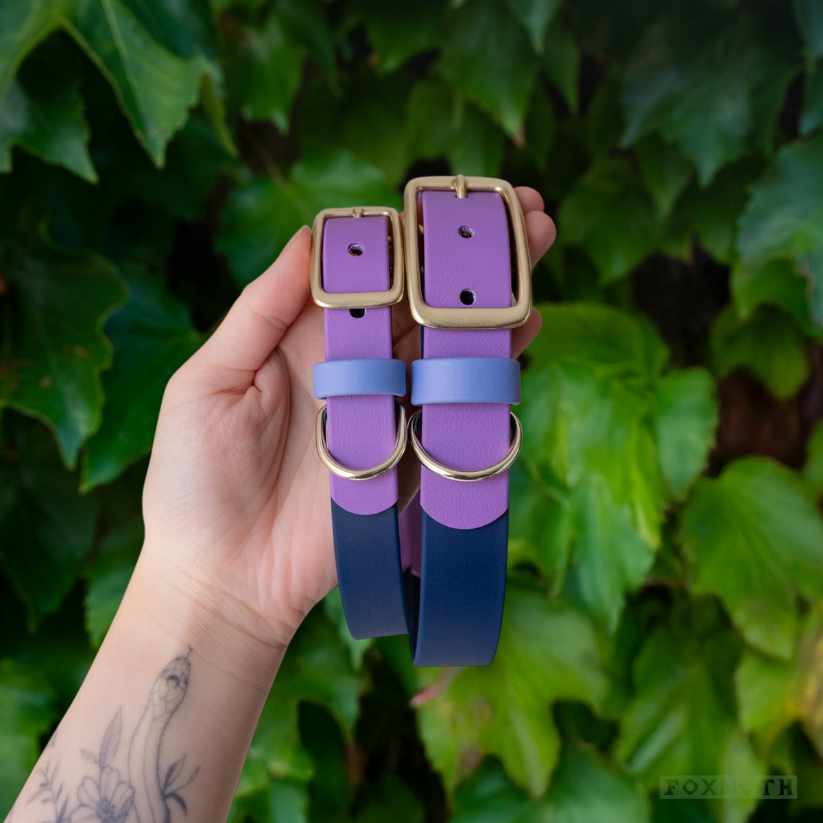 Cosmic Berry Buckle Collar - FoxMoth - Pet Collars & Harnesses