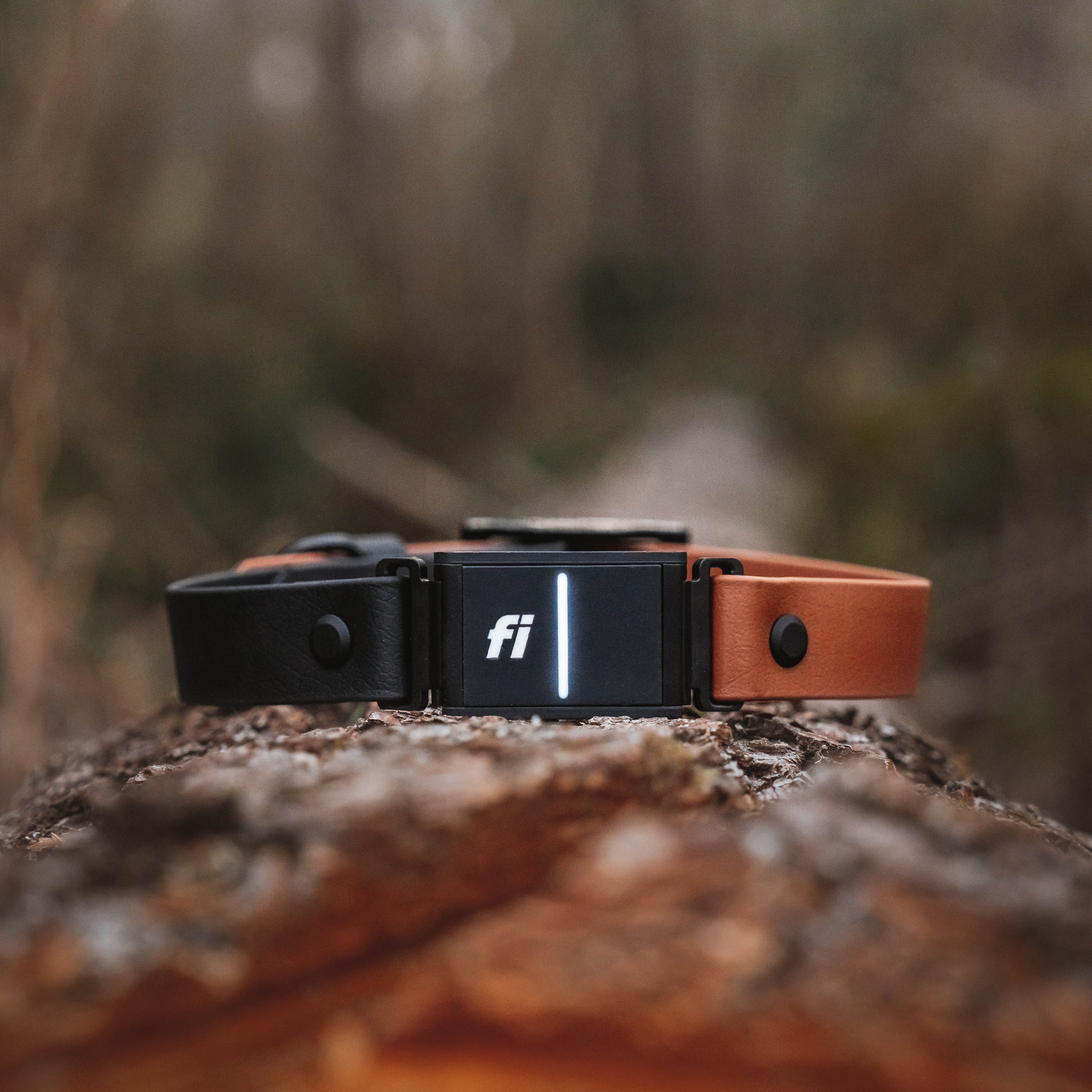 custom waterproof collar - fi compatible