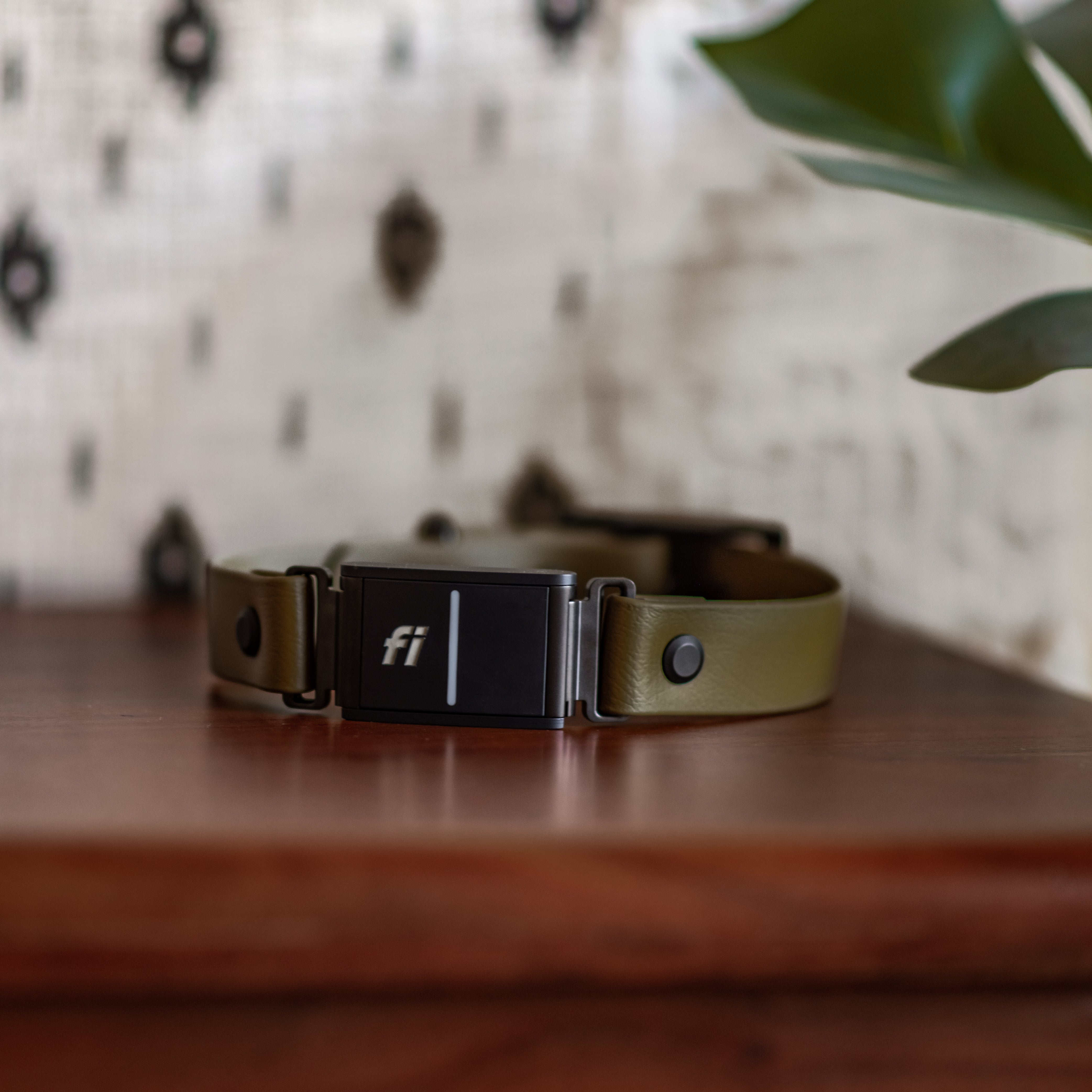 custom waterproof collar - fi compatible