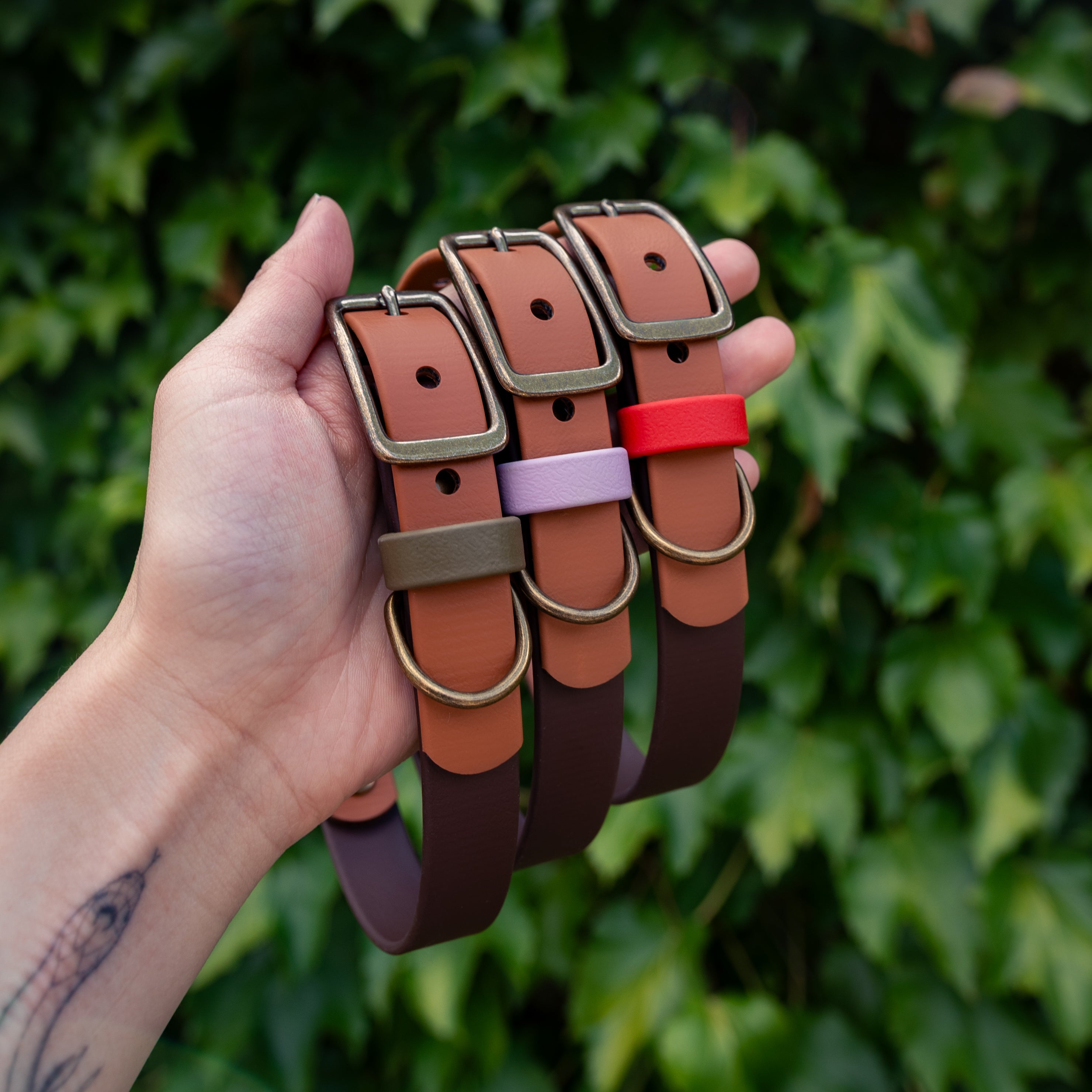 Toasted Earth Buckle Collars