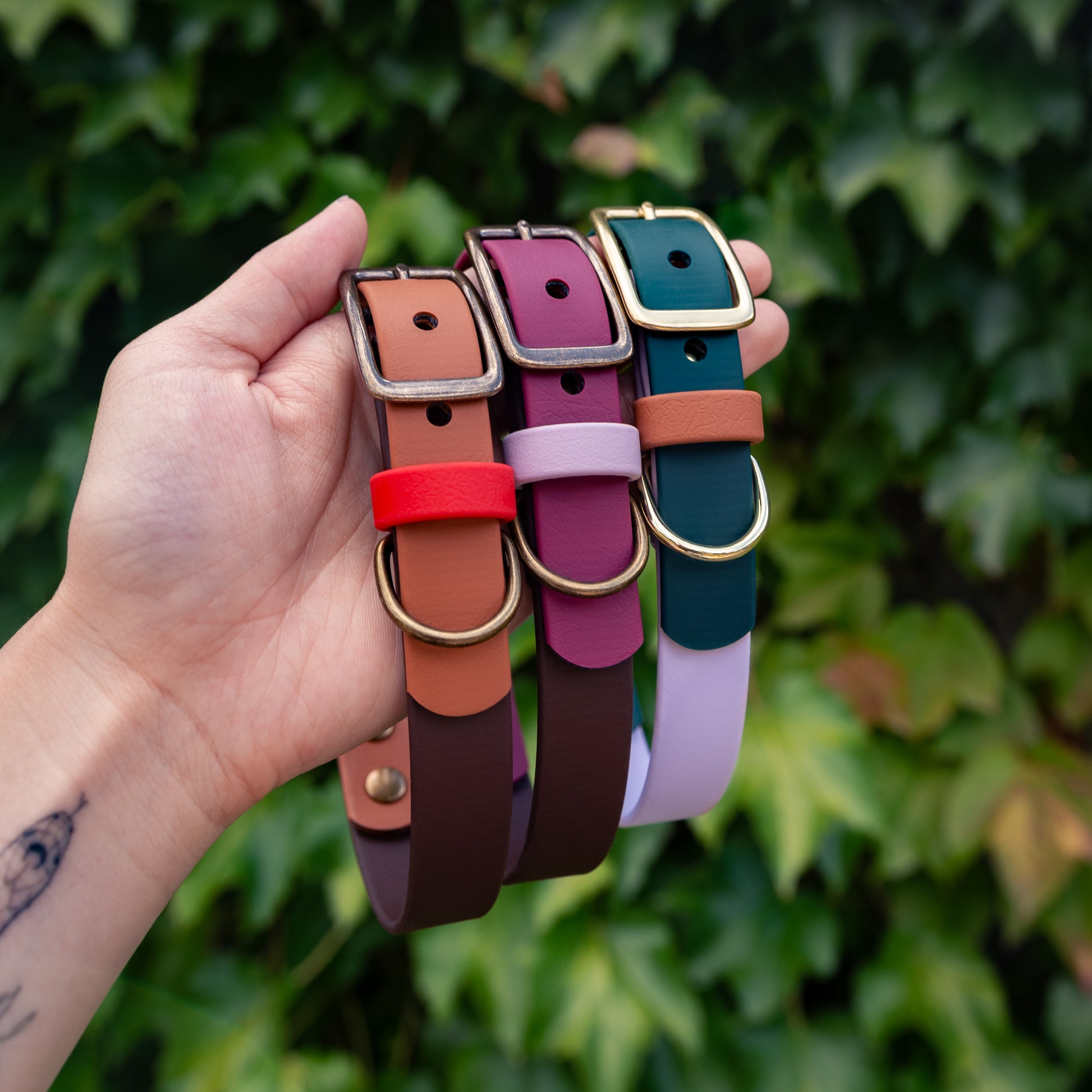 Lavender Spruce Buckle Collar - FoxMoth - Pet Collars & Harnesses