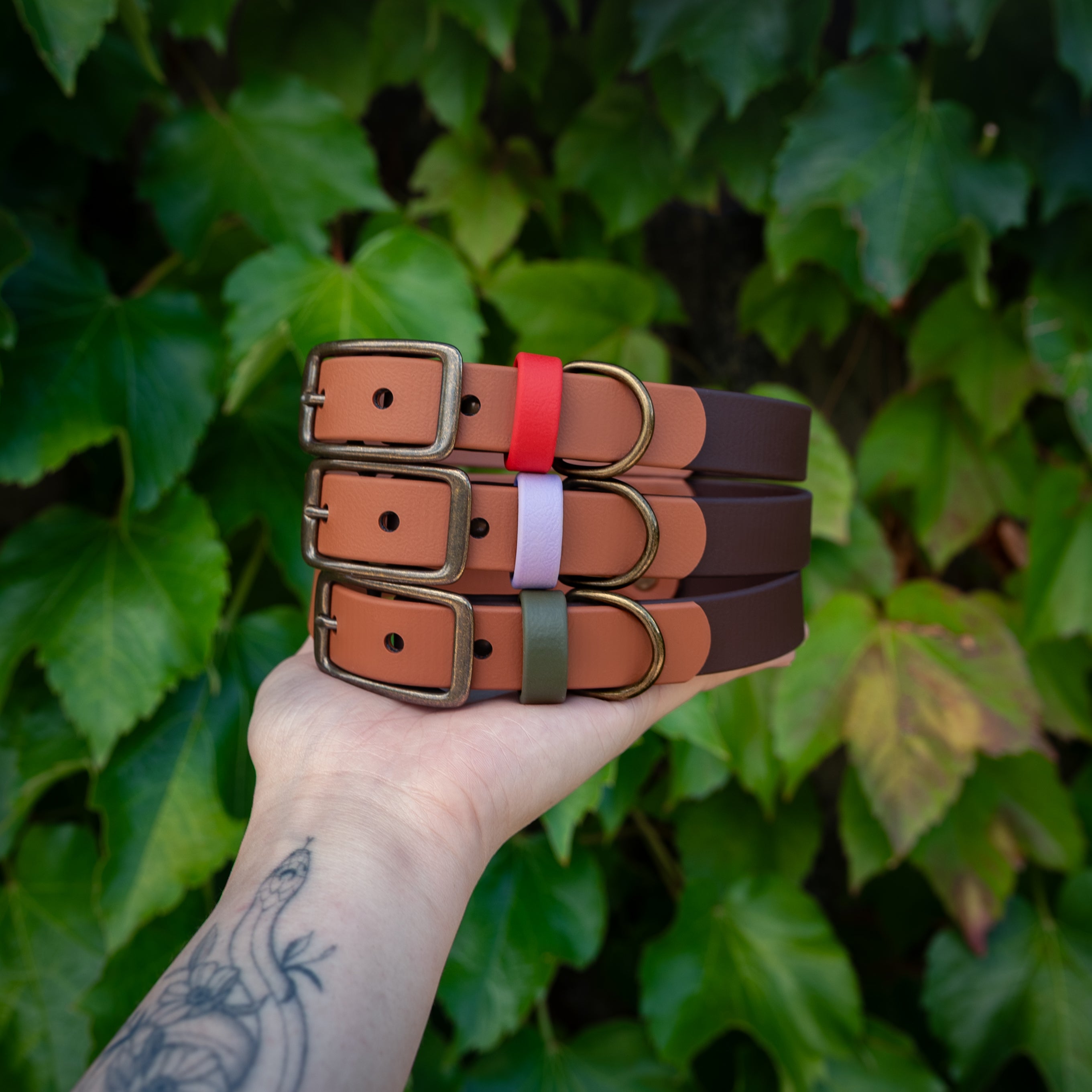 Toasted Earth Buckle Collars - FoxMoth - Pet Collars & Harnesses