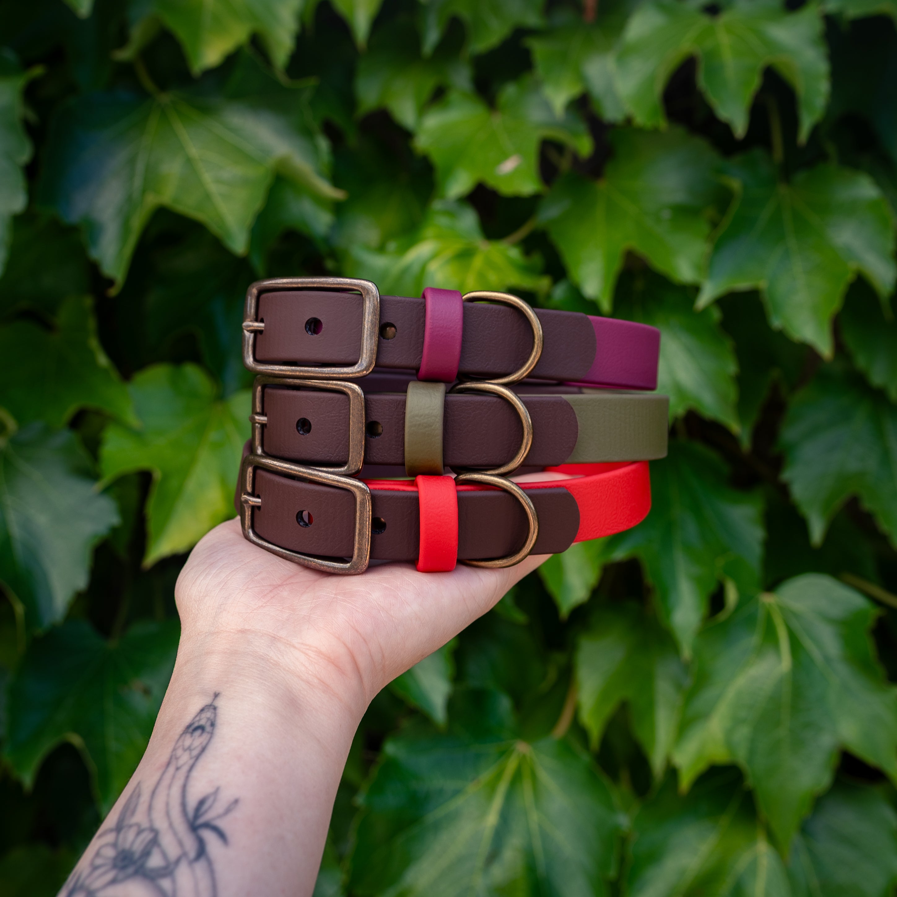 Saddle x Merlot Buckle Collar - FoxMoth - Pet Collars & Harnesses