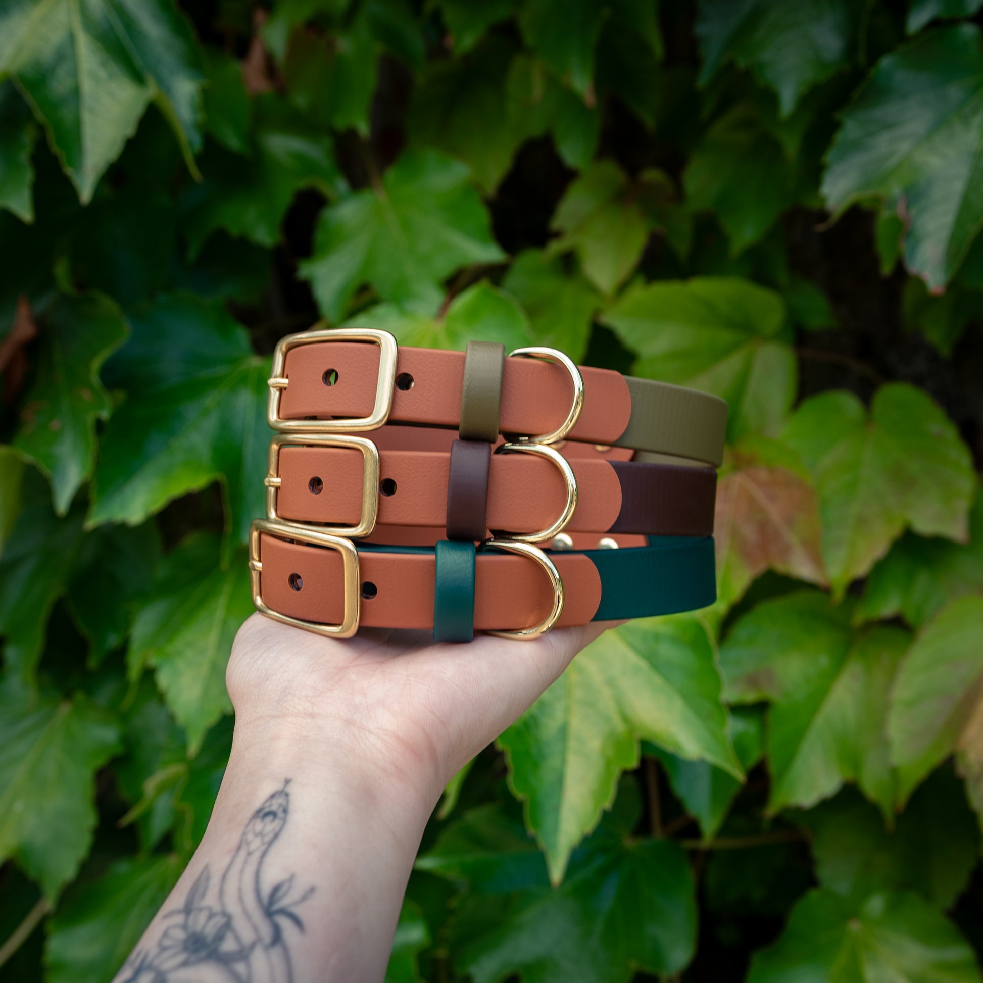 Sienna x Moss - FoxMoth - Pet Collars & Harnesses
