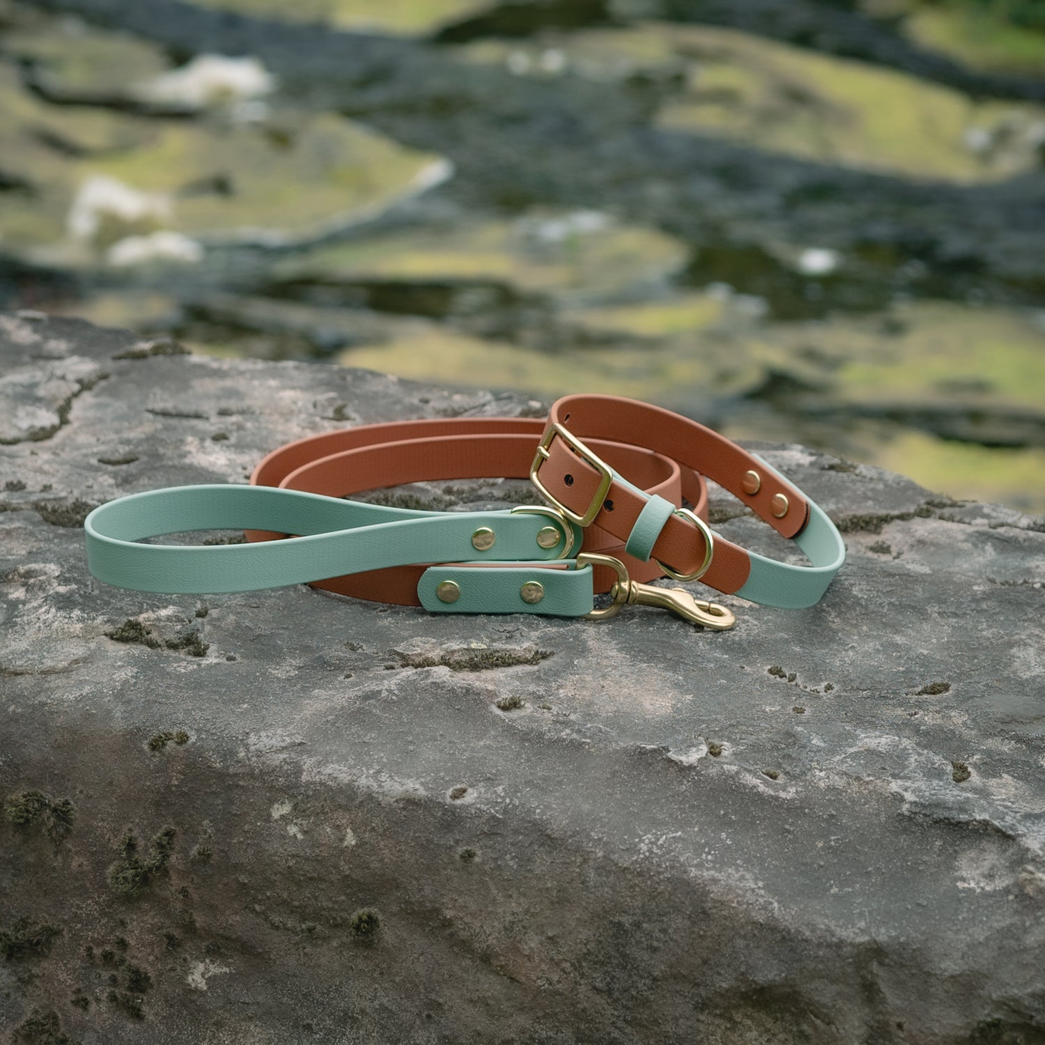 Saddle x Merlot Buckle Collar - FoxMoth - Pet Collars & Harnesses