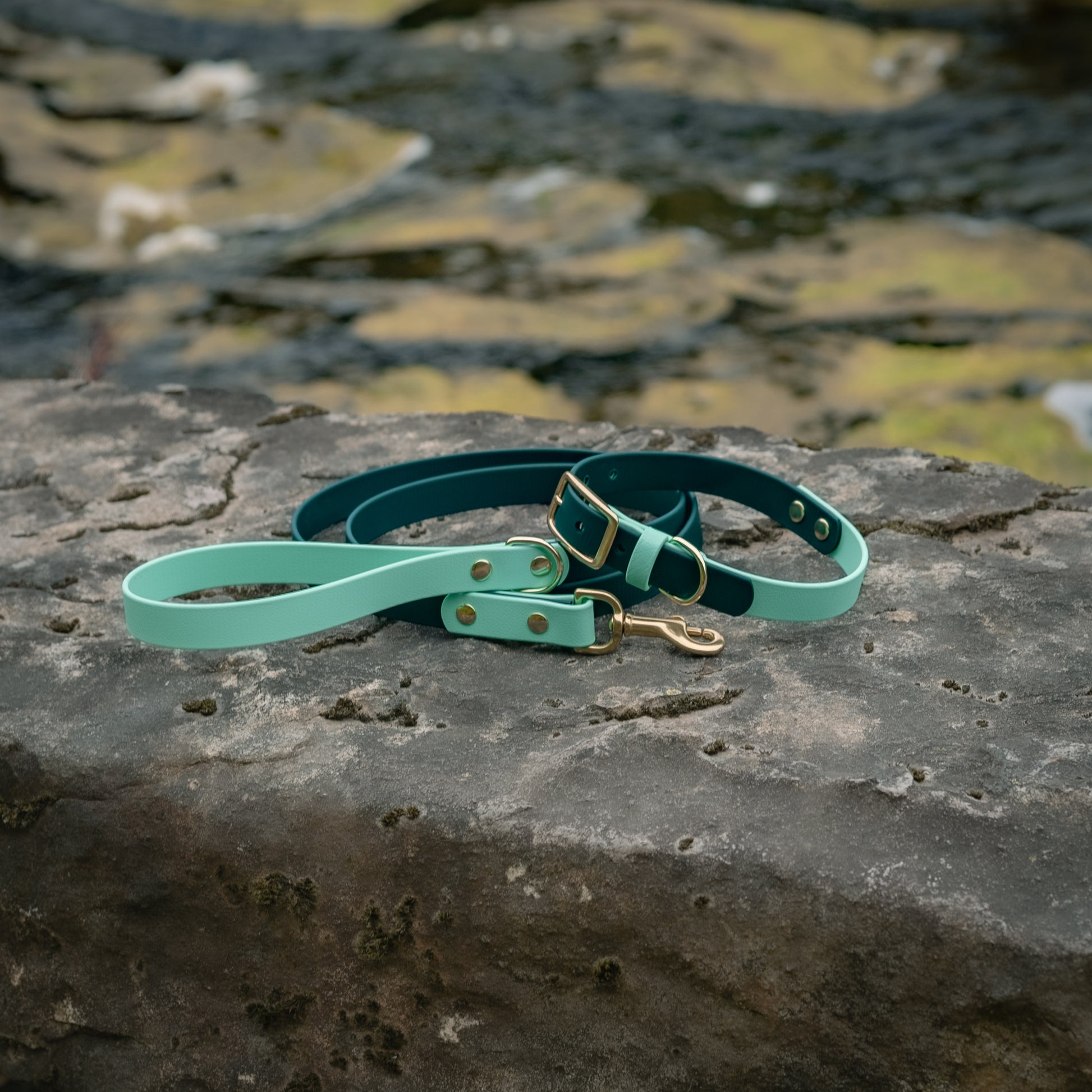 Lavender x Moss Buckle Collar - FoxMoth - Pet Collars & Harnesses