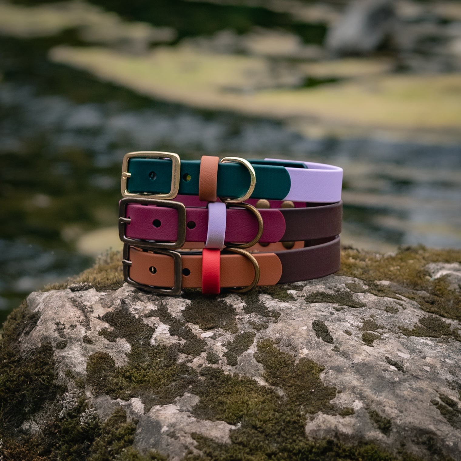 Lavender Spruce Buckle Collar - FoxMoth - Pet Collars & Harnesses